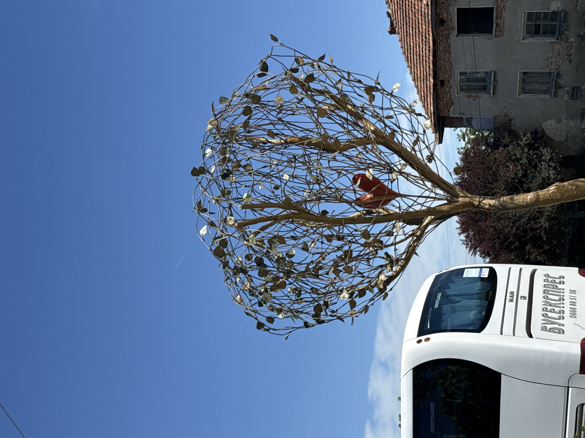 The image features a metallic tree sculpture in Lukovit, Bulgaria, set against a clear blue sky. The tree is made of intertwining metal branches and leaves, with a bright red bird perched on one of the branches. In the background, there is an old, dilapidated building with broken windows and a crumbling brick facade, indicating a state of disrepair. Next to the building, there's lush green vegetation. A white tour bus is parked in the frame on the right side, partially obscuring the view. The bus has the company name "БУСЕКСПРЕС" and a phone number "0888 88 51 56" written on its side. The scene captures a contrast between the modern metal sculpture and the aging building, with the blue sky acting as a backdrop.