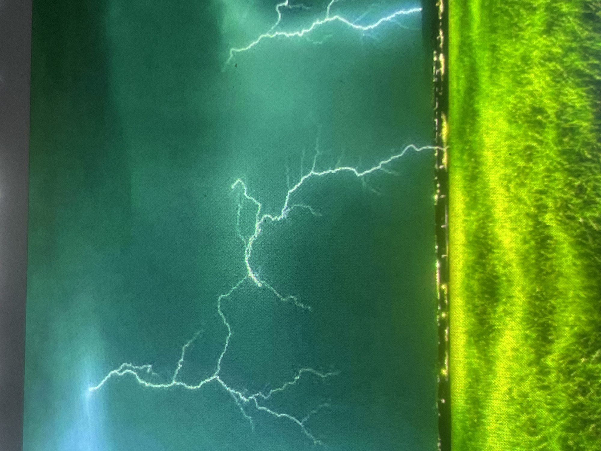 The image depicts a dramatic nighttime thunderstorm scene over the city of Zelenyi Hai, Ukraine. The upper portion of the frame is dominated by a dark, green-hued sky filled with turbulent storm clouds. Multiple lightning strikes are visible; a prominent, intricate bolt descends on the left, while several brighter, more vertical flashes illuminate the clouds on the right. These lightning events cast white to electric blue light across the teal and emerald cloud formations. A thin, horizontal band of bright yellow-white artificial lights, indicative of a distant urban area, stretches across the mid-ground. The lower portion of the image is occupied by an expansive, vividly lit, lime-green field of grass, displaying discernible texture and variations in light consistent with individual blades and clumps. No people, animals, or other specific man-made objects are present within the immediate foreground or mid-ground.