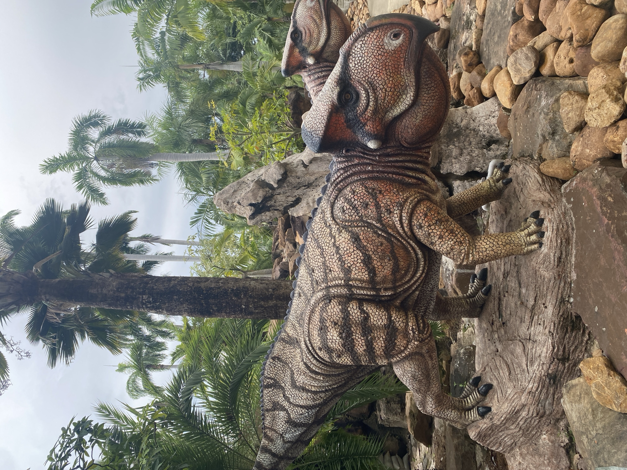 The image shows a close-up of a dinosaur statue with a textured, scaly hide in shades of brown and tan. The statue depicts a bipedal dinosaur with distinctive crests on its head, possibly a Parasaurolophus or a similar lambeosaurine. The dinosaur is positioned in a tropical or subtropical outdoor setting, with lush green palm trees and foliage visible in the background. The statue appears to be made of a durable material, perhaps concrete or fiberglass, and is weathered, suggesting it is an outdoor display.
The statue is resting its hands on a large, rough, tree-like structure, which is part of the exhibit. Behind the dinosaur, a wall constructed of various sized rocks and boulders is visible, adding to the naturalistic theme of the display. The lighting suggests it is daytime, with diffused light, possibly indicating an overcast sky. The overall scene evokes a prehistoric atmosphere, likely within a park or zoo designed to showcase dinosaur replicas. The location context is Tambon Na Chom Thian, Thailand, which aligns with the presence of tropical vegetation. There is no visible text in the image.