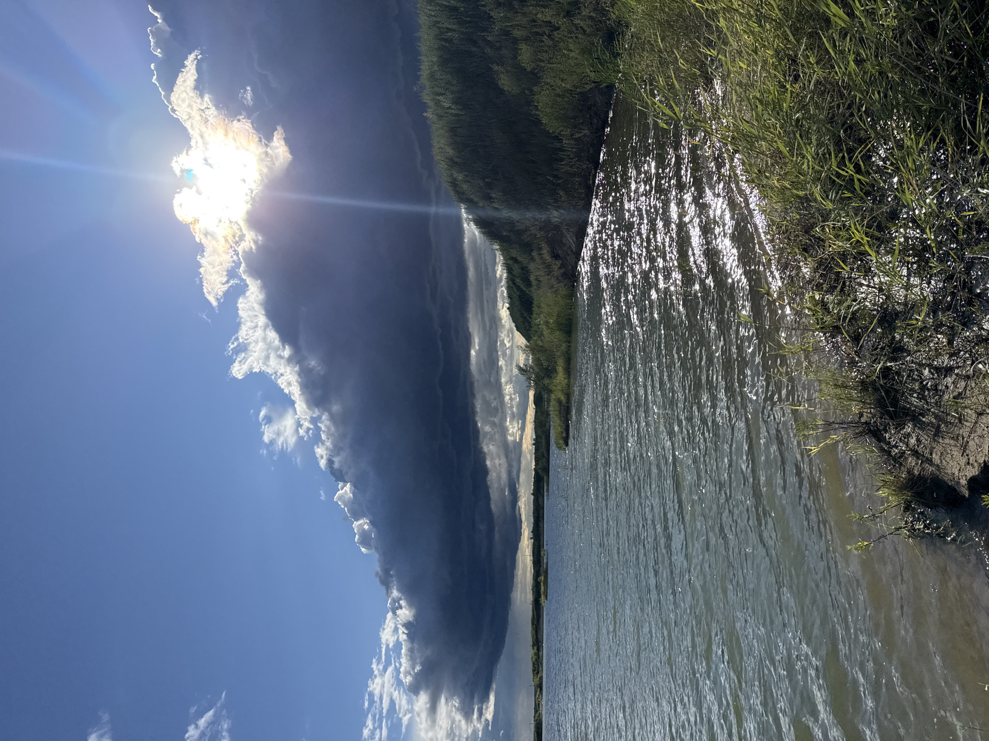 This is a landscape photograph of a body of water with a shoreline. The water is a muted blue-green, with ripples and reflections of sunlight scattered across its surface. The shoreline is lined with green vegetation, including tall grasses and some smaller plants. In the background, there is a distant, flat horizon with hints of trees or brush.
The sky is a dramatic mix of deep blue and dark, heavy clouds. The sun is partially obscured by a large cloud formation, creating a bright glare and sunbeams that extend downwards. The lighting suggests a stormy or transitional weather condition, with intense sunlight breaking through the clouds.
The image does not contain any people or specific landmarks that would indicate a location within the city of Blagoveshchensk, Russia. The scene appears to be a natural or semi-natural environment, possibly a lake, reservoir, or wide river.