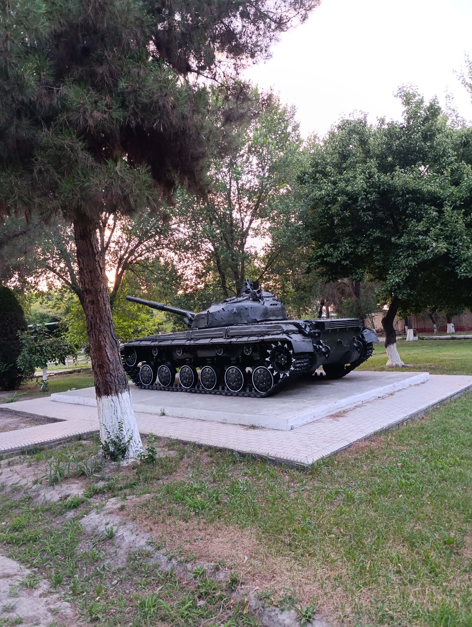 In Fergana City, Uzbekistan, a stationary, dark green military tank is displayed on a raised concrete and paved platform in an outdoor park-like setting. The tank is positioned to face left, with its turret and main gun visible. The platform is bordered by a patterned tiled walkway and surrounded by green grass and mature trees. The trunk of a large tree, painted with white at its base, stands prominently in the foreground to the left, partially obscuring the tank. The background features more trees and a fence, with a pale sky suggesting late afternoon or early morning light. No people are present in the scene.