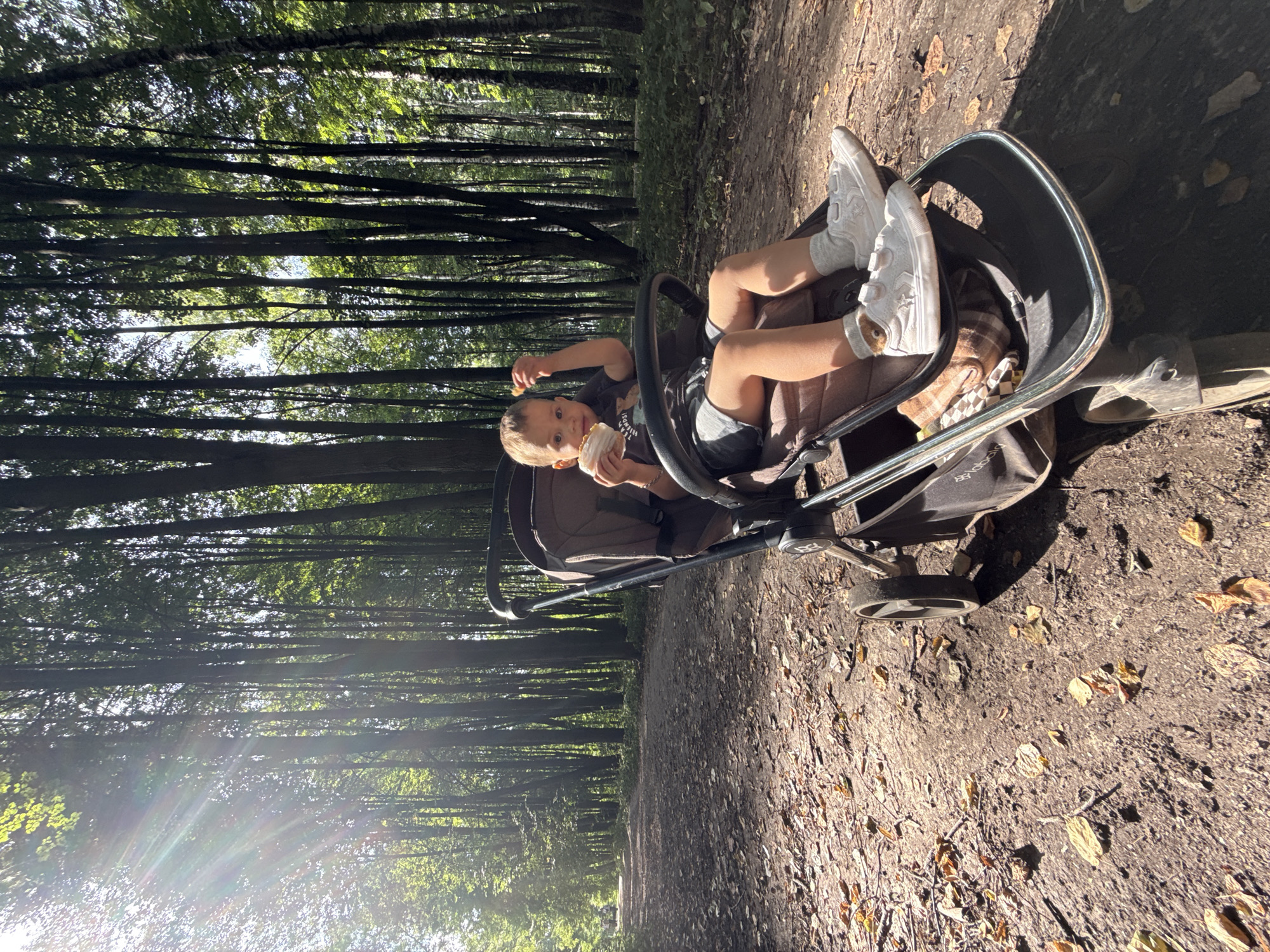 A young boy sits in a stroller on a dirt path in a forest. The boy is wearing a dark t-shirt, grey shorts, white socks, and white sneakers. He is holding a piece of food in his right hand and a pastry in his left hand, and appears to be eating. The stroller is brown and has a black frame. The path is covered in fallen leaves and twigs. Sunlight streams through the trees, casting long shadows. The forest is dense with tall trees. The location is identified as Rusanovo, Russia.