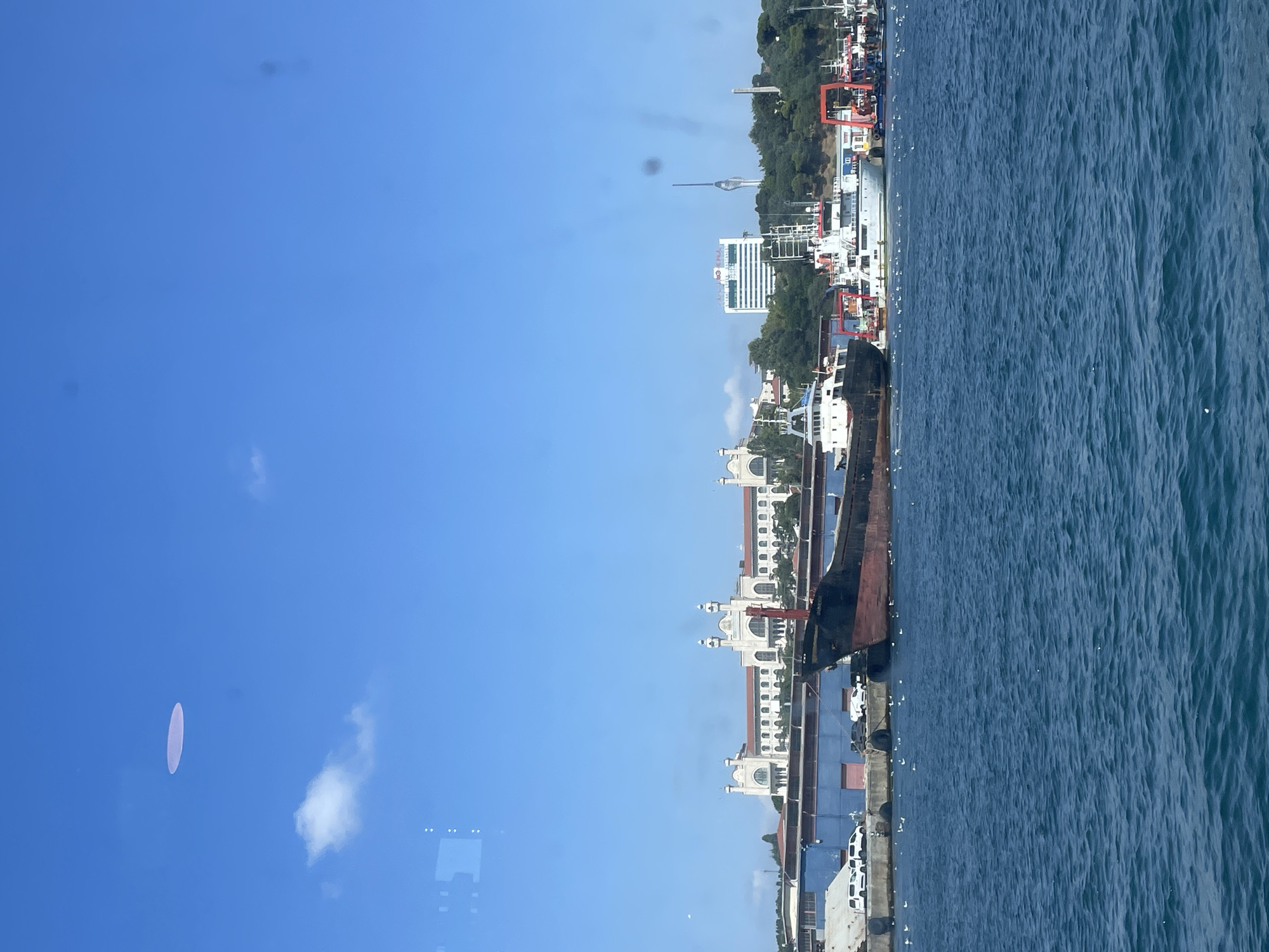 A wide-angle view captures a harbor scene under a bright blue sky with scattered clouds. The water in the foreground is a deep blue with light ripples. In the middle ground, several ships are docked. The largest ship, a dark-hulled cargo vessel, is prominent in the center. To its right are several smaller white vessels, some with red accents. Behind the ships, a long, blue industrial building runs along the waterfront. Further in the background, a large, pale building with ornate architectural details and multiple domes stands out. To the right of this building, a modern white high-rise building is visible, and beyond that, a tall, slender telecommunications tower pierces the sky. Green trees dot the landscape behind the buildings. Small white birds are scattered on the water and along the edge of the quay. The overall impression is a bustling port with a mix of old and new architecture. This scene is likely the Haydarpaşa Port or a nearby area in Üsküdar, Istanbul, Turkey, given the distinctive architecture of the large pale building, which resembles the Haydarpaşa Train Station.
