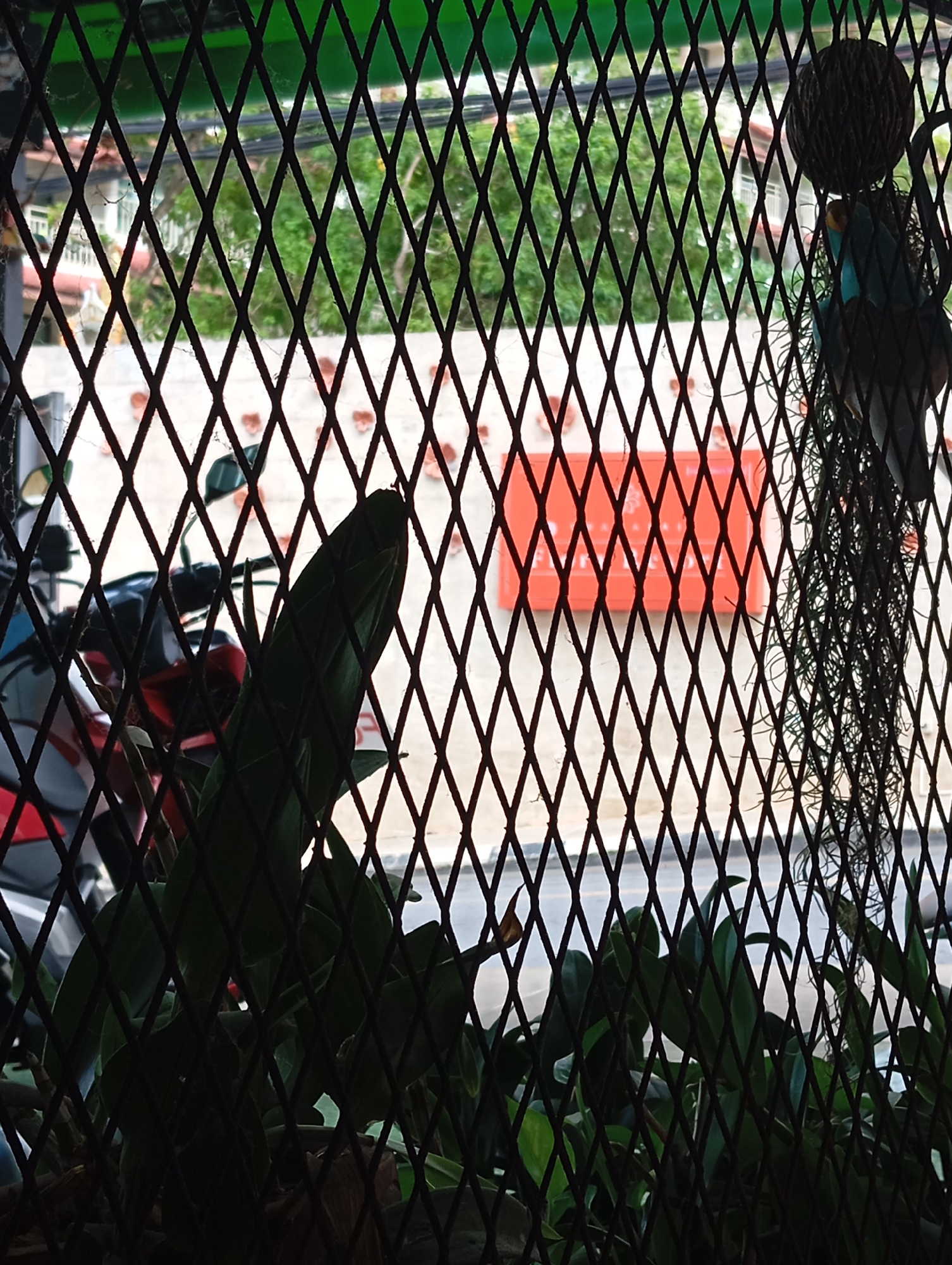 The image, taken in Karon, Thailand, captures a scene viewed through a diamond-patterned black metal grate. In the foreground, dark green foliage, likely plants, obscures much of the view. Behind the grate and foliage, a red and white motorcycle is partially visible, suggesting an urban or semi-urban setting. Further in the background, a bright orange rectangular sign is mounted on a light-colored wall, with some red accents on the wall above it. Green trees and structures are visible beyond the sign, indicating an outdoor environment. A hanging object, possibly a decorative item or a plant, with a dark, spherical top and trailing strands, is also present to the right of the frame. The lighting suggests it is daytime.