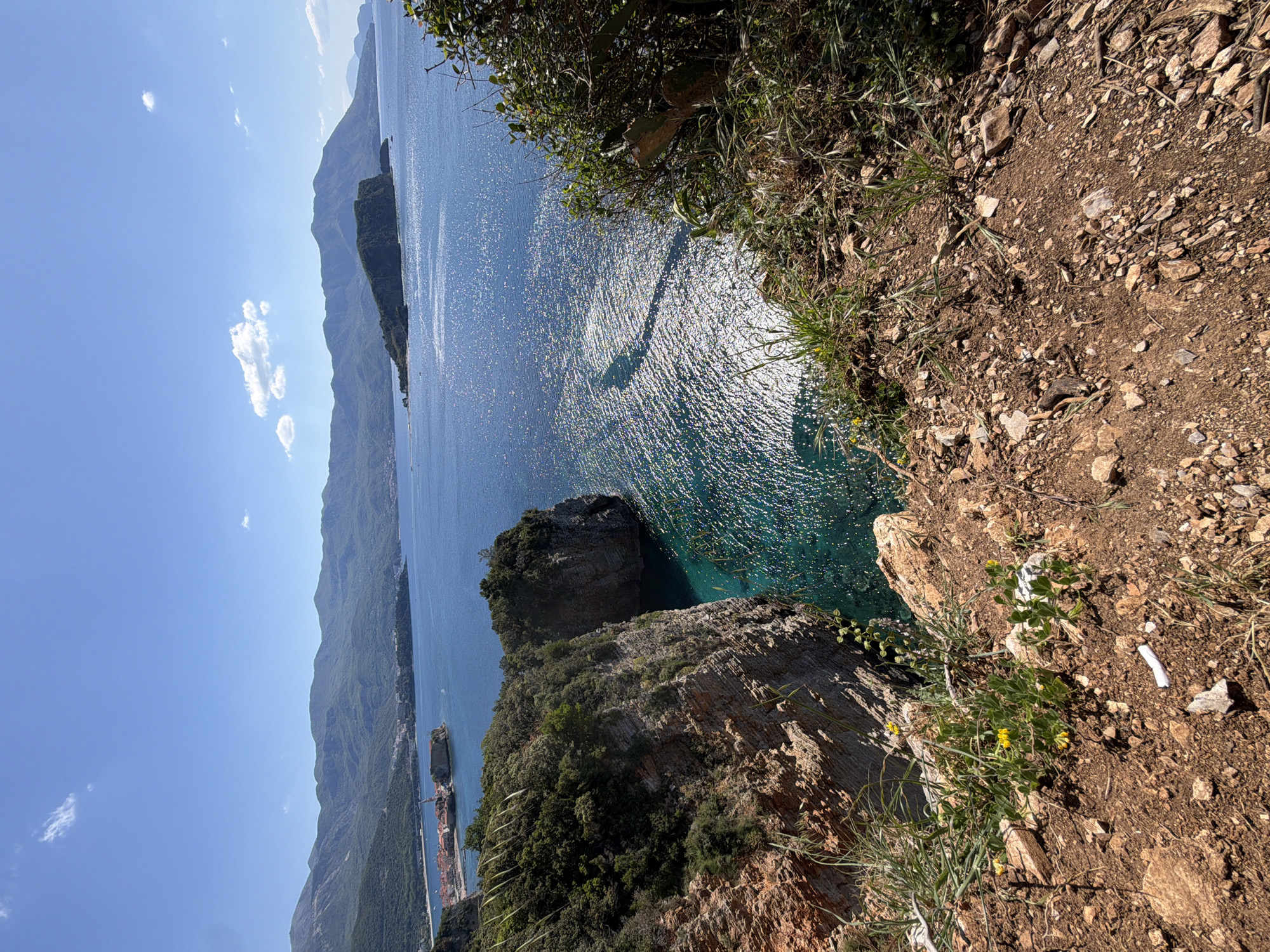 The image depicts a coastal landscape in Budva, Montenegro. The scene is captured from a high vantage point, possibly a cliffside, overlooking the Adriatic Sea. The sea is sparkling under the sunlight. Mountain ranges are visible in the background on the left side of the image. A rocky cliff face, covered with vegetation, forms the foreground on the right side. Small yellow flowers and other greenery grow along the edge of the cliff. In the distance, a part of the city of Budva is visible. The sun's reflection creates a shimmering effect on the water.