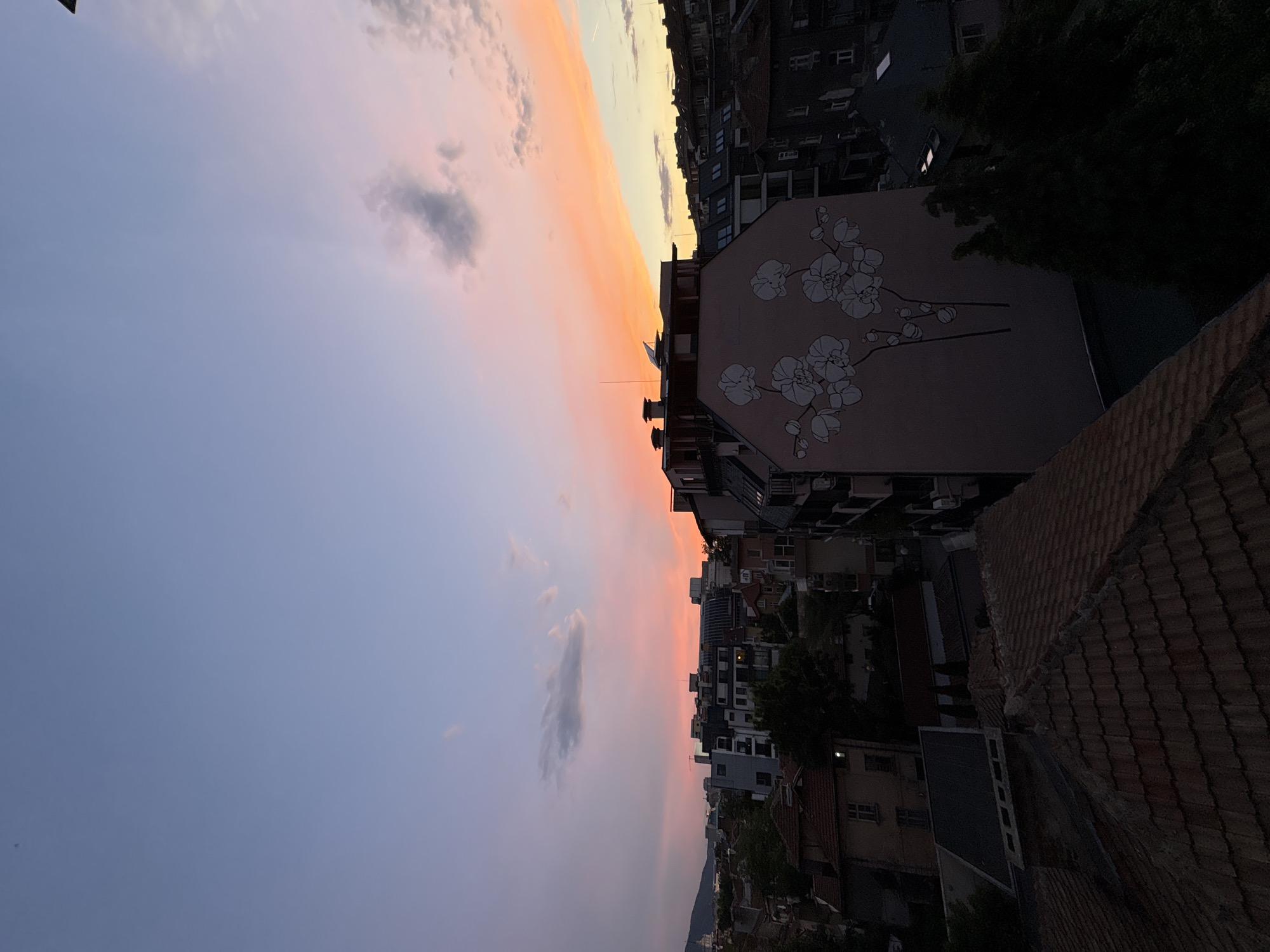 The image captures a twilight scene over a European city, likely Sofia, Bulgaria. The sky is ablaze with a vibrant sunset, transitioning from a pale blue at the top to fiery oranges and pinks near the horizon. A few wispy clouds are scattered across the sky, catching the light.
In the foreground, several rooftops are visible, some tiled with terracotta and others with darker materials. A prominent building in the midground features a large mural of white orchids painted on its pink facade. Beyond this, a cityscape of various buildings, ranging in architectural style and height, stretches into the distance. Some buildings appear modern with large windows, while others have a more traditional aesthetic with tiled roofs and visible chimneys. Trees are interspersed throughout the urban landscape, their dark green foliage contrasting with the warm tones of the sunset. A mountain range is faintly visible on the far left, silhouetted against the colorful sky. The overall impression is that of a serene urban evening.