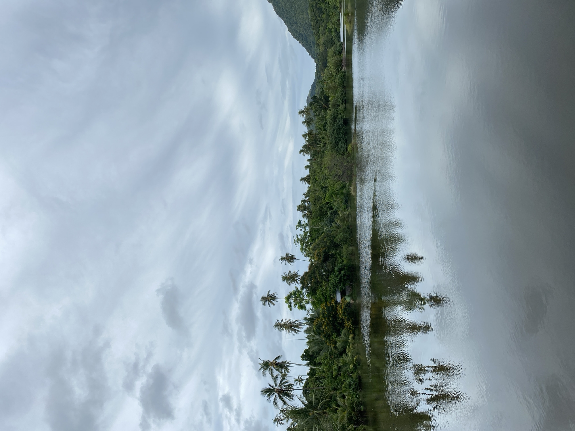 This image depicts a tranquil, overcast scene of a body of water bordered by dense tropical vegetation and palm trees. The water is dark and reflects the sky and the surrounding greenery, creating a mirror-like effect with subtle ripples. On the left bank, a cluster of tall palm trees and various lush green foliage are visible, with a hint of a small structure, possibly a house, nestled within the trees. To the right, the landscape transitions to a gently sloping, verdant hillside under a cloudy sky. The overall impression is one of a natural, peaceful environment, characteristic of a rural or coastal setting in a tropical region like Aneuk Paya, Indonesia. There are no people or visible actions occurring in the scene.