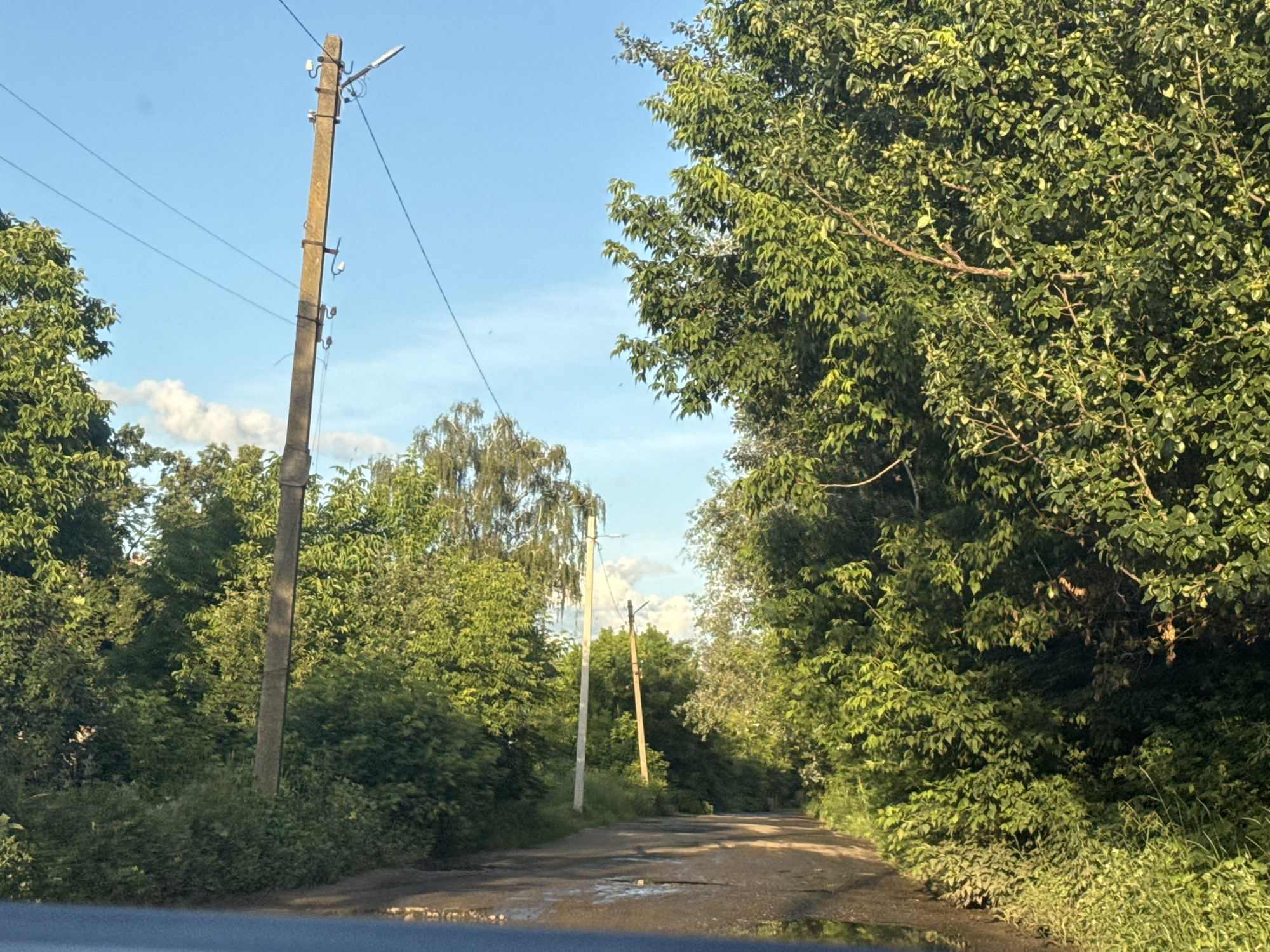 The image shows a dirt road lined with lush green trees and vegetation on both sides, under a bright blue sky with scattered white clouds. Several utility poles are visible along the road. One prominent concrete utility pole stands on the left side of the road, with wires attached and a lamp fixture at the top. Further down the road, another utility pole is visible. The road surface appears somewhat uneven and shows signs of puddles or damp patches, suggesting recent rainfall. The overall scene depicts a rural or semi-rural setting.