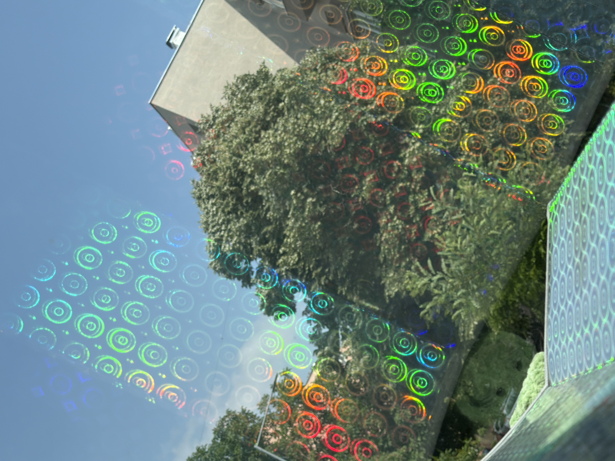 The image presents an outdoor scene viewed through a surface adorned with vibrant holographic patterns. A bright, clear blue sky dominates the upper and left portions of the frame, indicating daylight. Below and to the right, a large, lush green tree with dense foliage is prominently featured. Part of a modern, light-colored building with a flat roof and clean lines is visible in the upper right quadrant, suggesting an urban or suburban environment in Pazardzhik, Bulgaria.
The most notable detail is the iridescent holographic overlay that covers much of the scene. This pattern consists of repeating, interlocking circular or 'C'-shaped motifs that refract sunlight into a spectrum of colors, including greens, blues, reds, and oranges. These colorful patterns are visible against the sky, across the tree, and on the building's surface, creating a dynamic, almost psychedelic effect. On the far right edge of the image, another patterned surface, possibly a separate holographic sticker or panel, shows a slightly different geometric design in blues and greens. The photograph is taken at an upward, tilted angle, looking towards the sky and the tops of the tree and building. There is no specific activity taking place, and no discernible text is visible within the image. The weather appears sunny and clear.