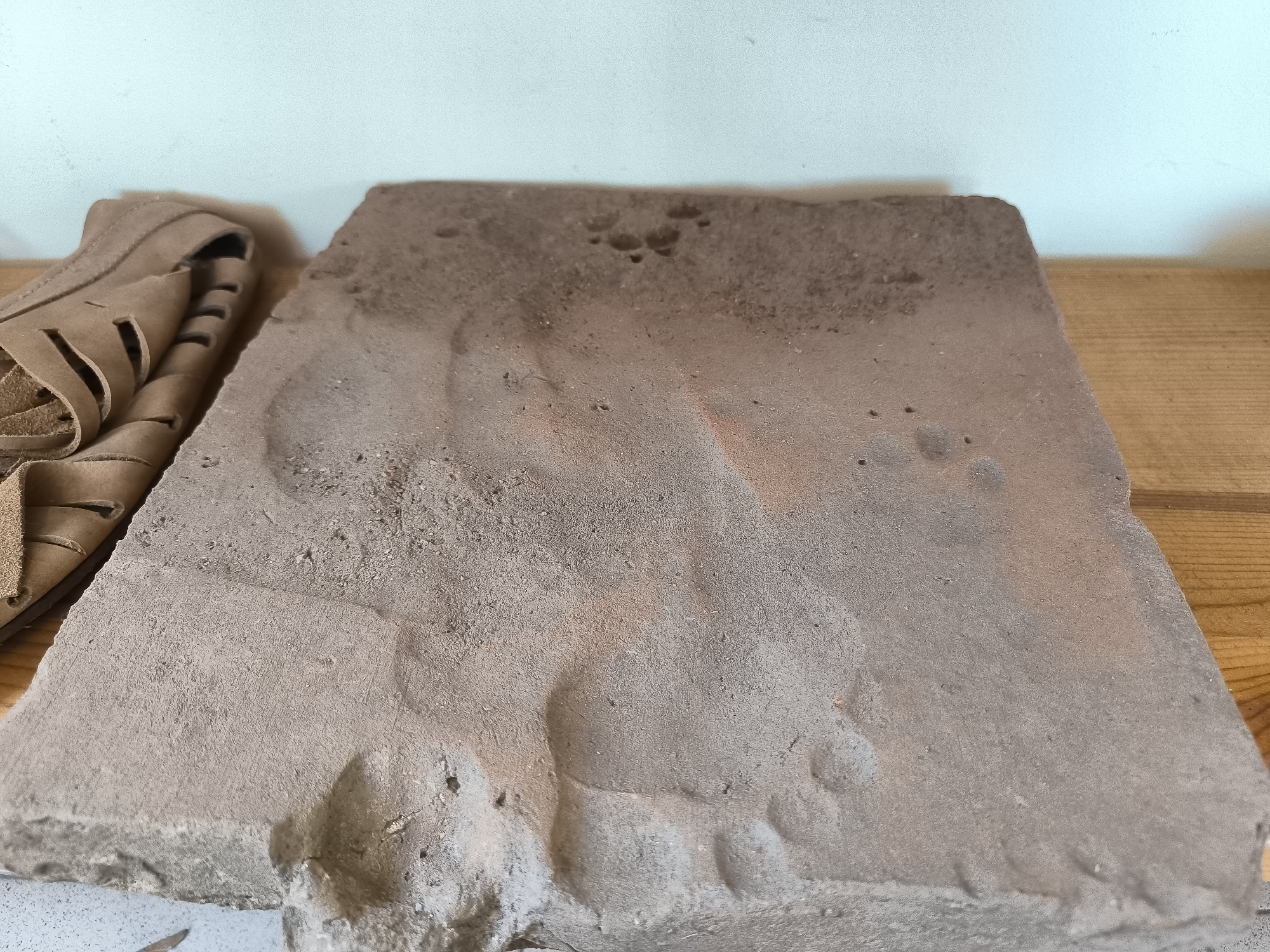 The image shows a flat, rectangular object made of a coarse, light brown material, likely a fossilized footprint or sedimentary rock. It is placed on a wooden surface next to a tan-colored sandal. The background consists of a light blue wall. The fossil is rough and textured, with indentations and raised areas that suggest the imprint of a foot. The sandal, positioned on the left side of the image, is made of soft material and appears to be folded or creased. The lighting in the image is even, and there are no people visible. The overall scene suggests an indoor setting, possibly a display or a workshop related to paleontology or archaeology.