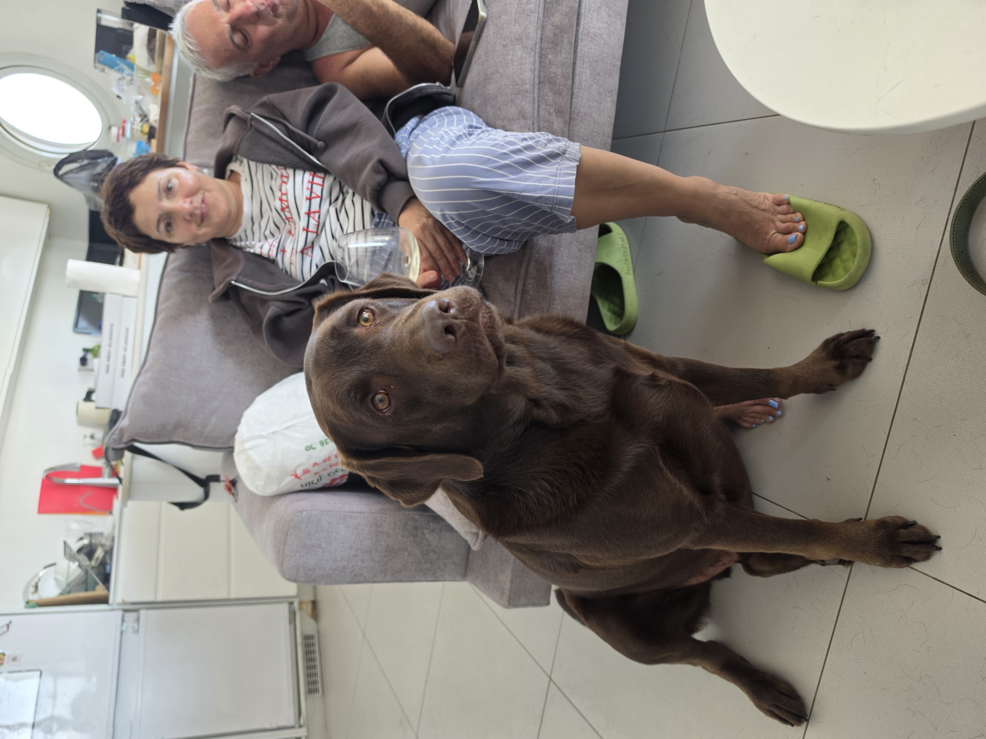 The image shows a domestic interior scene. A woman with short brown hair, wearing a striped top and a brown jacket, sits on a grey sofa alongside an older man with grey hair, both reclining. A brown Labrador dog sits in front of the sofa, facing the camera. The woman has blue nail polish on her toes, visible as her foot is clad in a green sandal. A partially visible white round table is to the right. Behind the sofa is a cluttered counter area with kitchen appliances and supplies. The location is likely Bat Yam, Israel based on context clues.