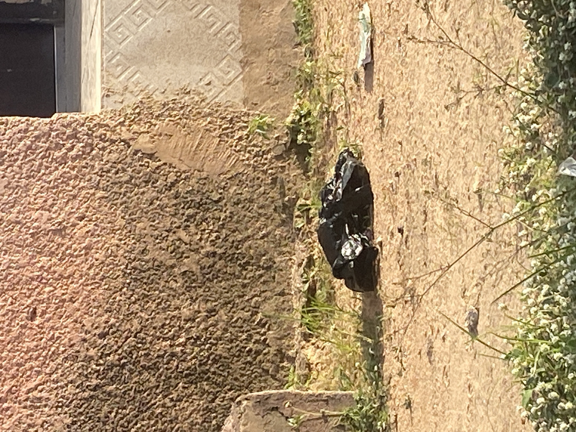 In an outdoor scene in Unknown, Unknown, a pile of black plastic trash bags lies on the ground. The bags are crumpled and appear to be full. The ground is covered with dirt and scattered with small rocks and dry grass. In the background, a textured, light-colored wall rises, with a hint of a doorway or entrance visible on the right side. Some greenery, including small white flowers and thin stalks of grass, grows around the trash and in the foreground. The lighting suggests it is daytime, with shadows cast by the objects in the scene.