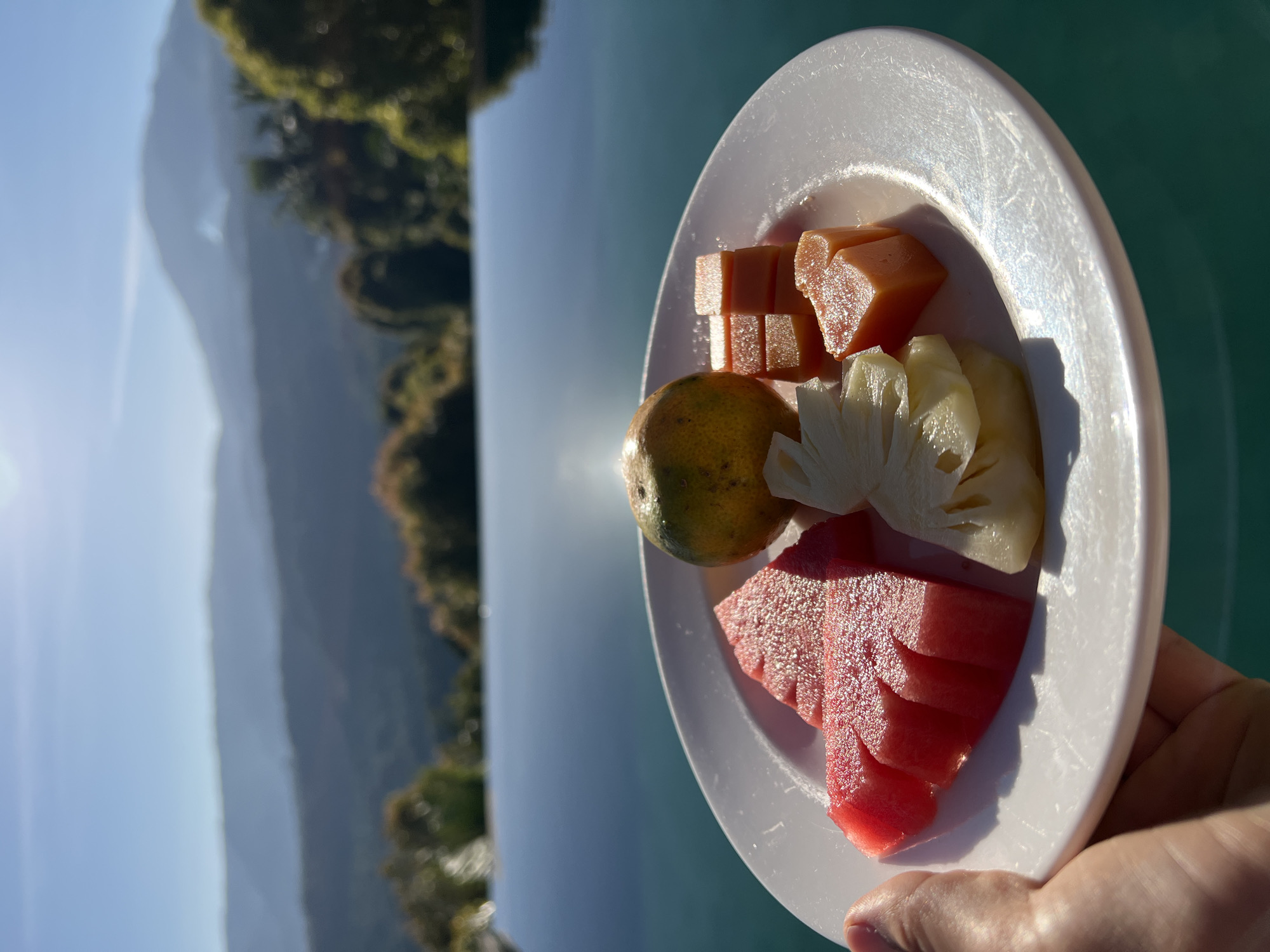 A hand holds a white plate of fruit in front of an infinity pool. The fruit includes slices of watermelon, cubes of papaya, a whole orange, and a piece of pineapple. In the background, lush green hills and mountains are visible under a bright blue sky. The scene is bathed in sunlight.