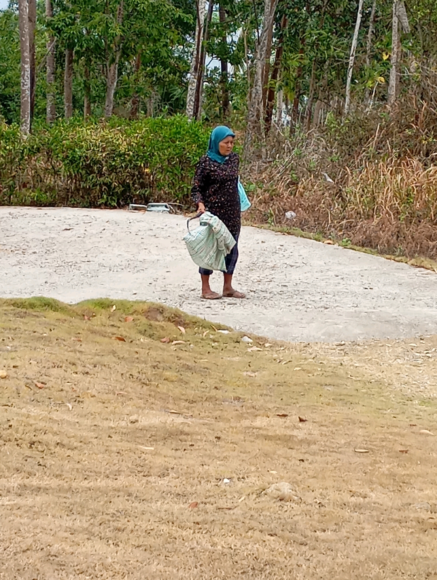 In Ketepung, Indonesia, a woman wearing a blue hijab and a patterned dark dress stands on a dirt path. She carries a light-colored woven bag in her right hand, with a blue plastic bag hanging from her left arm. The path is surrounded by dry, brown grass in the foreground and a dense line of green bushes and trees in the background. Behind the bushes, taller trees are visible, their trunks appearing light-colored against the foliage. The ground of the path is a light tan color with visible texture.