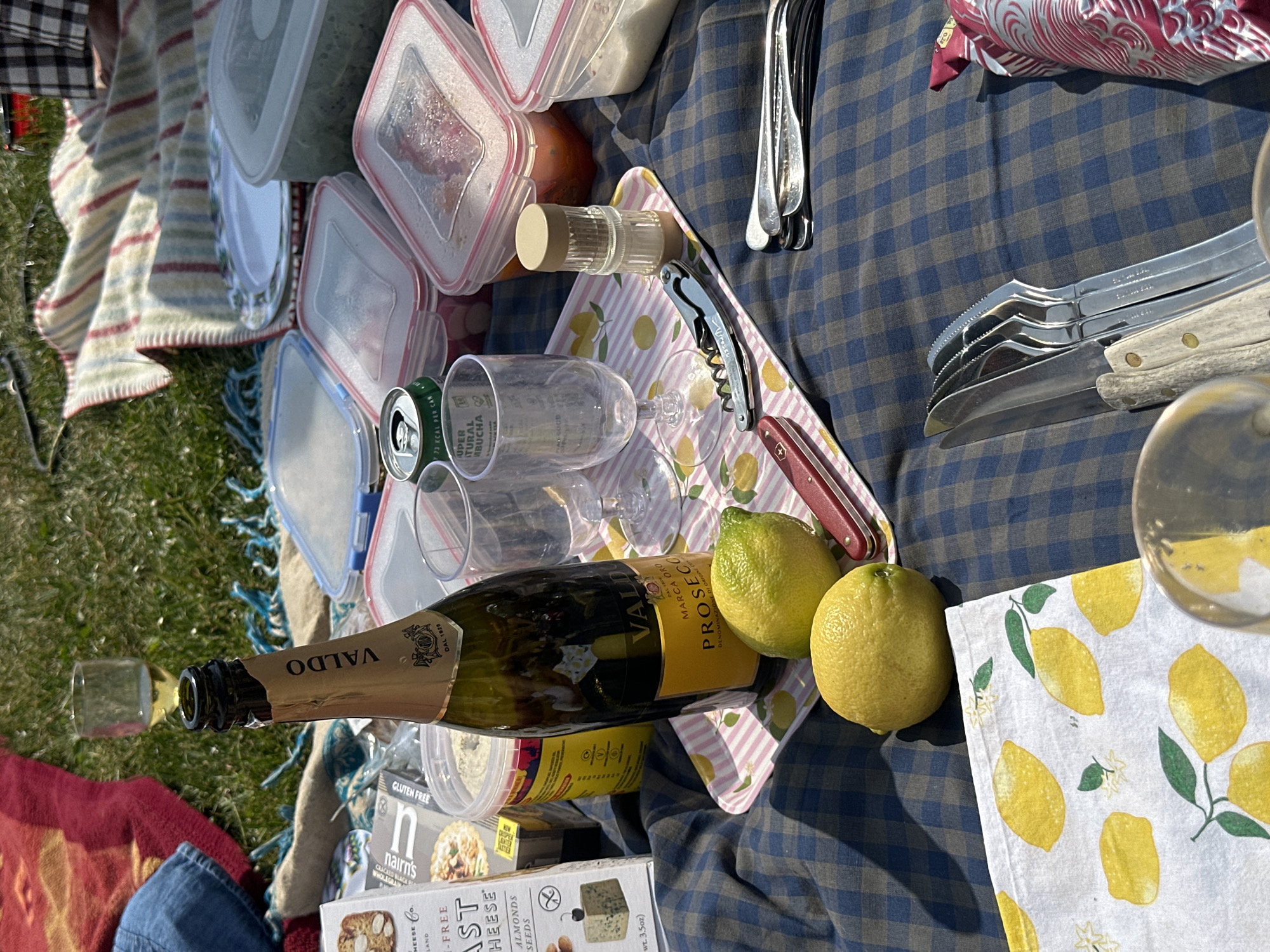 The scene depicts a picnic laid out on a blue and grey checkered blanket, likely in a grassy area. The focus is on the food and drink items spread across the blanket. There are clear plastic containers, a can, and several stemmed glasses. A bottle of Valdo Prosecco, two lemons, a corkscrew, and a pile of picnic knives are visible. There is a pink and yellow tray with lemons printed on it, as well as a cloth napkin with a lemon design. Also present are boxes of Nairn's Gluten Free crackers and Fast Cheese. The location appears to be a park or open space, given the grass and blanket. There is no specific information to determine it is located in the city of London, United Kingdom. There is one leg visible in the bottom left corner of the image.