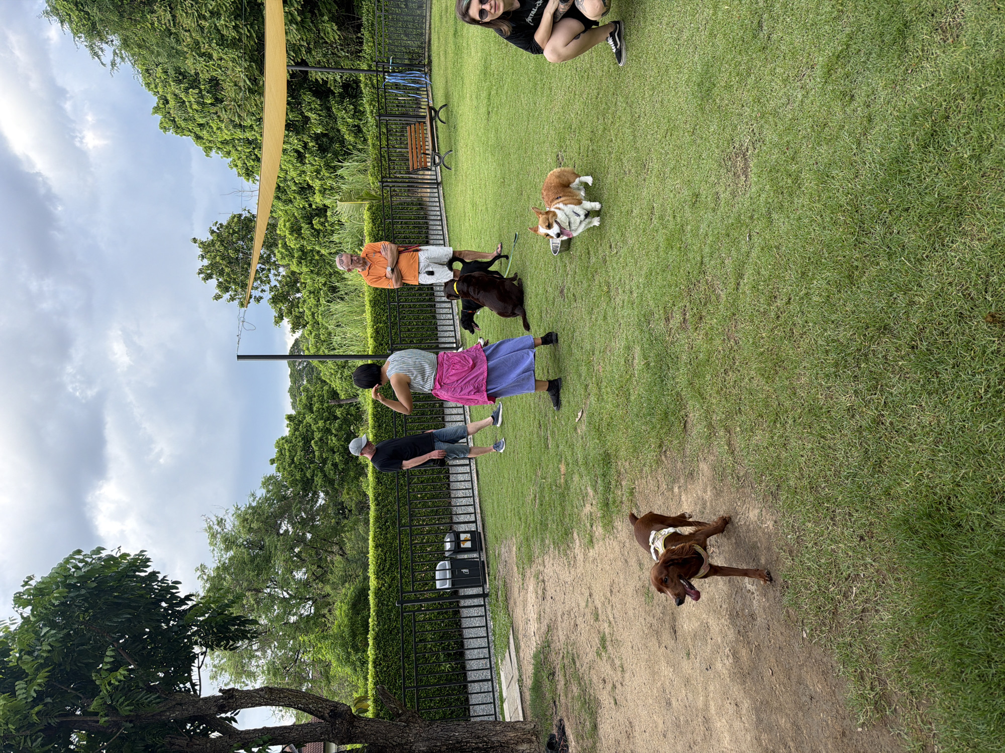 The image depicts a dog park in Tha Sala, Thailand. In the foreground, a brown dog with a white harness is walking on a dirt path, looking to the left. To the right, on a grassy area, a corgi stands with its tongue out, facing the camera. Behind the corgi, a person in black shorts and a black t-shirt is crouched down, facing the camera. Further back, a man in an orange shirt and white shorts stands with his arms crossed, looking to the left. To his left, a person in a striped top and pink skirt is standing, facing away from the camera. To their left, a person in a black t-shirt and denim shorts stands facing away from the camera, wearing a grey baseball cap. Two dark-colored dogs are near the people in the background. A black metal fence runs along the back of the grassy area, with two dark trash bins visible behind it. A wooden bench is located to the right of the trash bins. Lush green trees and foliage surround the park. A yellow awning extends over part of the park area in the background. The sky is overcast with grey clouds.