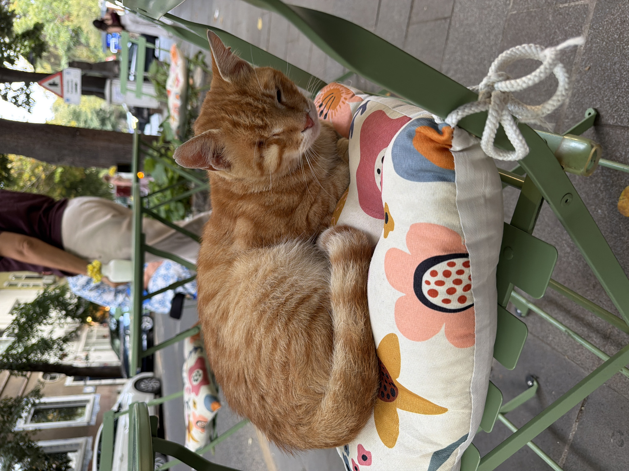 An orange tabby cat is sleeping on a chair cushion with a floral pattern. The cat is lying curled up on its side, with its tail wrapped around its body. The chair is green metal and appears to be an outdoor cafe chair. In the background, there are other cafe tables and chairs, as well as trees and buildings. There are also a few people in the background, some of whom are blurred. The scene appears to be a street in a city, possibly in Üsküdar, Turkey, judging by the architecture and streetscape.