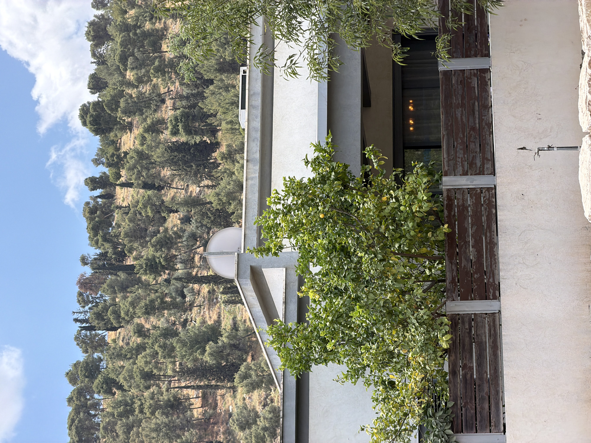 The image shows a building in the Gilboa Regional Council, Israel, with a hillside covered in trees in the background. The building has a modern design with a white exterior and wooden accents. A tree with green leaves is growing near the building. The sky is blue with some clouds.