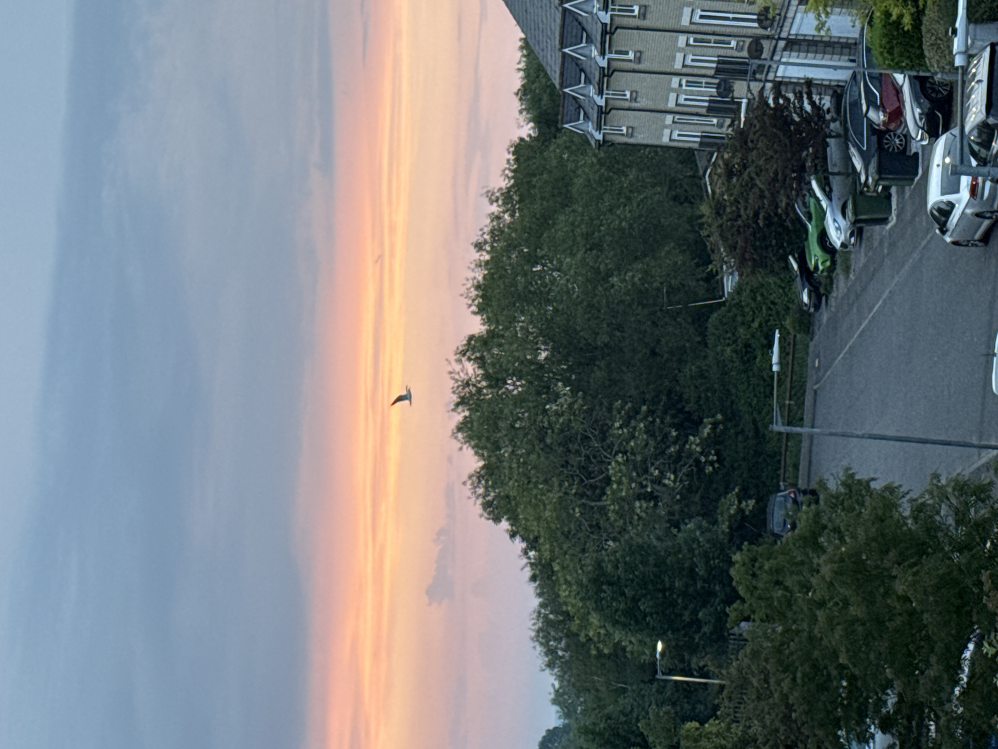 The image depicts a sunset in Great Yarmouth, United Kingdom. The sky transitions from a light blue to shades of orange and pink. A single bird flies in the distance. Adjacent to the sky, a row of residential buildings with gray roofs and white-framed windows are visible. Below the buildings, there is dense green foliage from trees and shrubs. A street runs parallel to the buildings, lined with parked cars. Street lamps are present along the road.