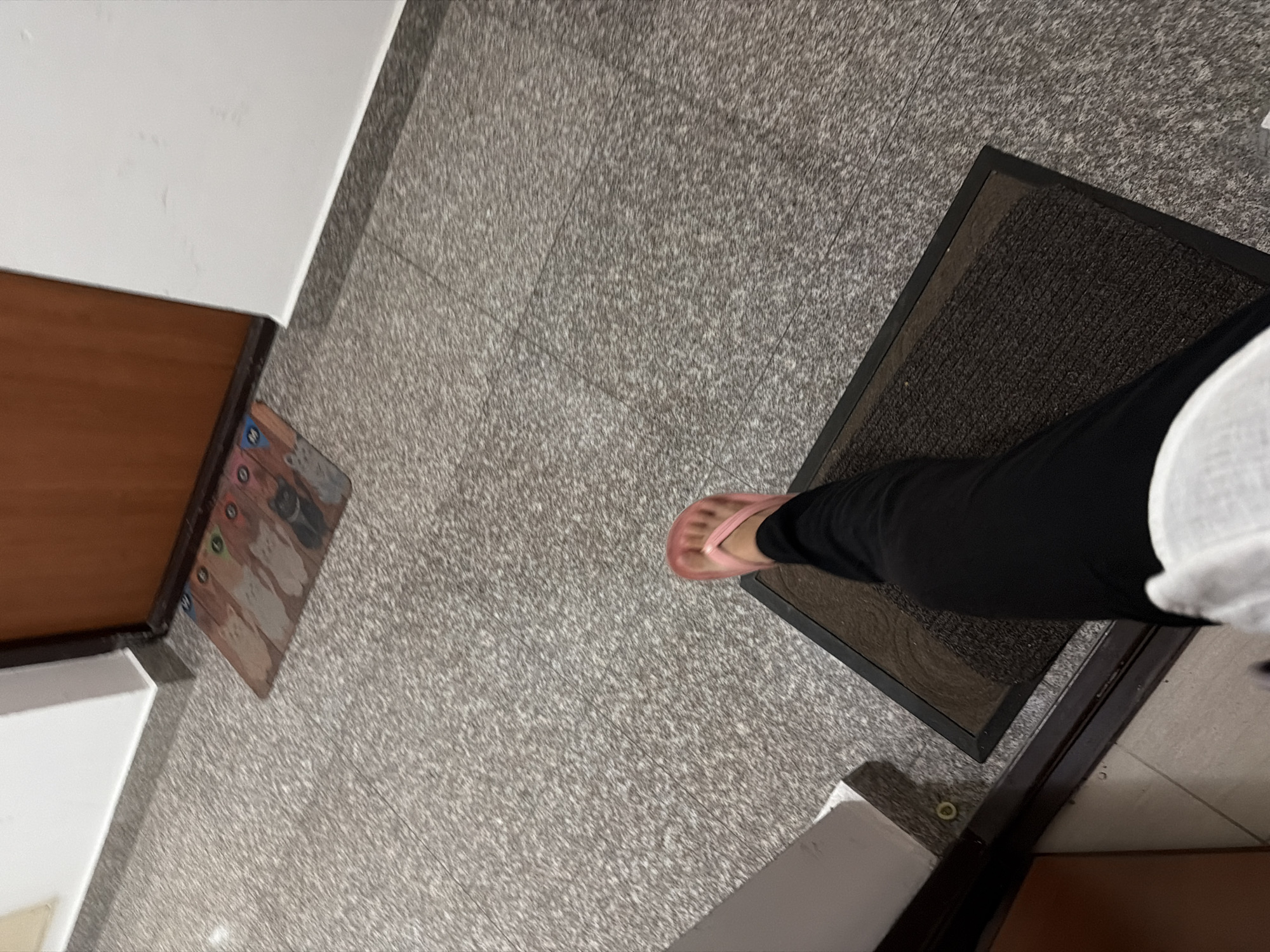 The image shows a first-person perspective of someone standing on a doormat. They are wearing black pants and pink flip-flops. The doormat is dark brown and rectangular, positioned on a speckled grey tiled floor. To the left, there is a white wall. To the right, a wooden door is visible. A smaller doormat with cartoon cats is placed further away from the door, also on the tiled floor. The setting appears to be an indoor entryway, possibly in an apartment or house in Budva, Montenegro.