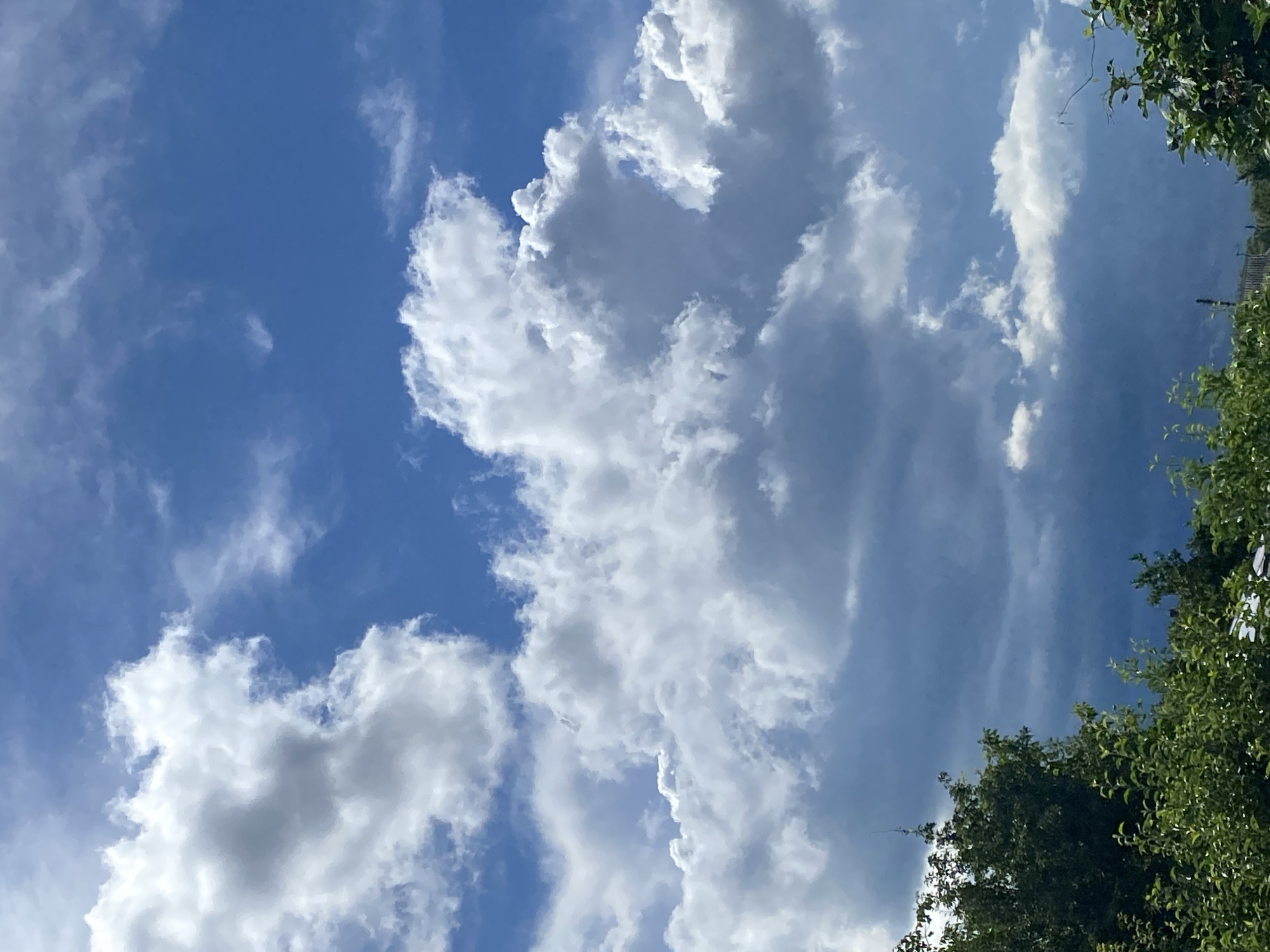 The image shows a sky filled with dramatic clouds, ranging from bright white cumulus formations to darker, more ominous storm clouds. The blue sky is visible in patches between the clouds. In the foreground, the tops of lush green trees and foliage are visible, along with a glimpse of a fence or wire. The scene appears to be outdoors, possibly in a suburban or rural area, given the presence of trees and vegetation at the bottom of the frame. The lighting suggests it is daytime, with the sun illuminating the clouds from above. The overall impression is one of a dynamic and changing sky.