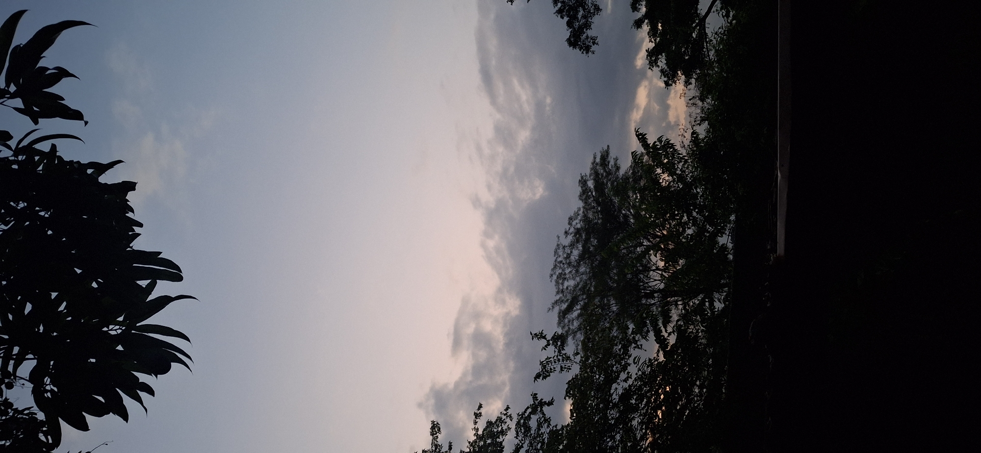 The image depicts a twilight sky with cloud formations and silhouettes of trees. The left side features a tree with large leaves, while the right side shows trees with smaller leaves and a dark, indistinct structure. The sky has a gradient of colors, transitioning from a light blue-gray to a soft pink-orange near the cloud edges. There are no people, subjects, or actions visible. The environment suggests an outdoor setting, likely a park or residential area with trees. The image does not provide enough information to confirm the exact location in Vallecito, Venezuela.