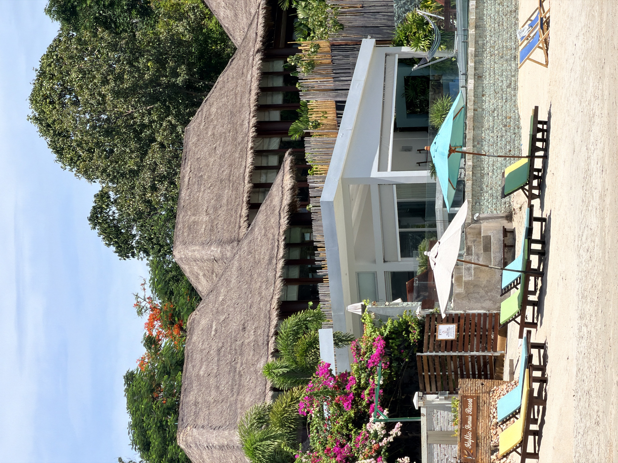 The image depicts a beachside resort in the Ko Samui District of Thailand. In the foreground, a sandy beach is furnished with several lounge chairs and umbrellas. Three lounge chairs, two with blue cushions and one with a yellow cushion, are lined up on the left side of the frame. To the right, another set of lounge chairs, one with green and yellow cushions, is positioned under a turquoise umbrella, and two more chairs with blue cushions are visible further to the right.
Behind the beach chairs, a low wall constructed of light-colored stone runs horizontally across the image. Above this wall, a white modern building with large windows is visible, suggesting accommodations or common areas of the resort. A portion of a swimming pool with turquoise water is also visible.
In the background, traditional Thai-style buildings with thatched roofs are prominent. Lush green foliage and trees, including palm trees and flowering bushes with vibrant pink and white blossoms, surround the structures, adding to the tropical ambiance. A sign for "Phyllis Samui Resort" is posted on a wooden fence near the left side of the frame. The sky is a clear blue with a few wispy clouds, and the overall scene suggests a sunny day at a tropical resort. There are no people visible in the image.