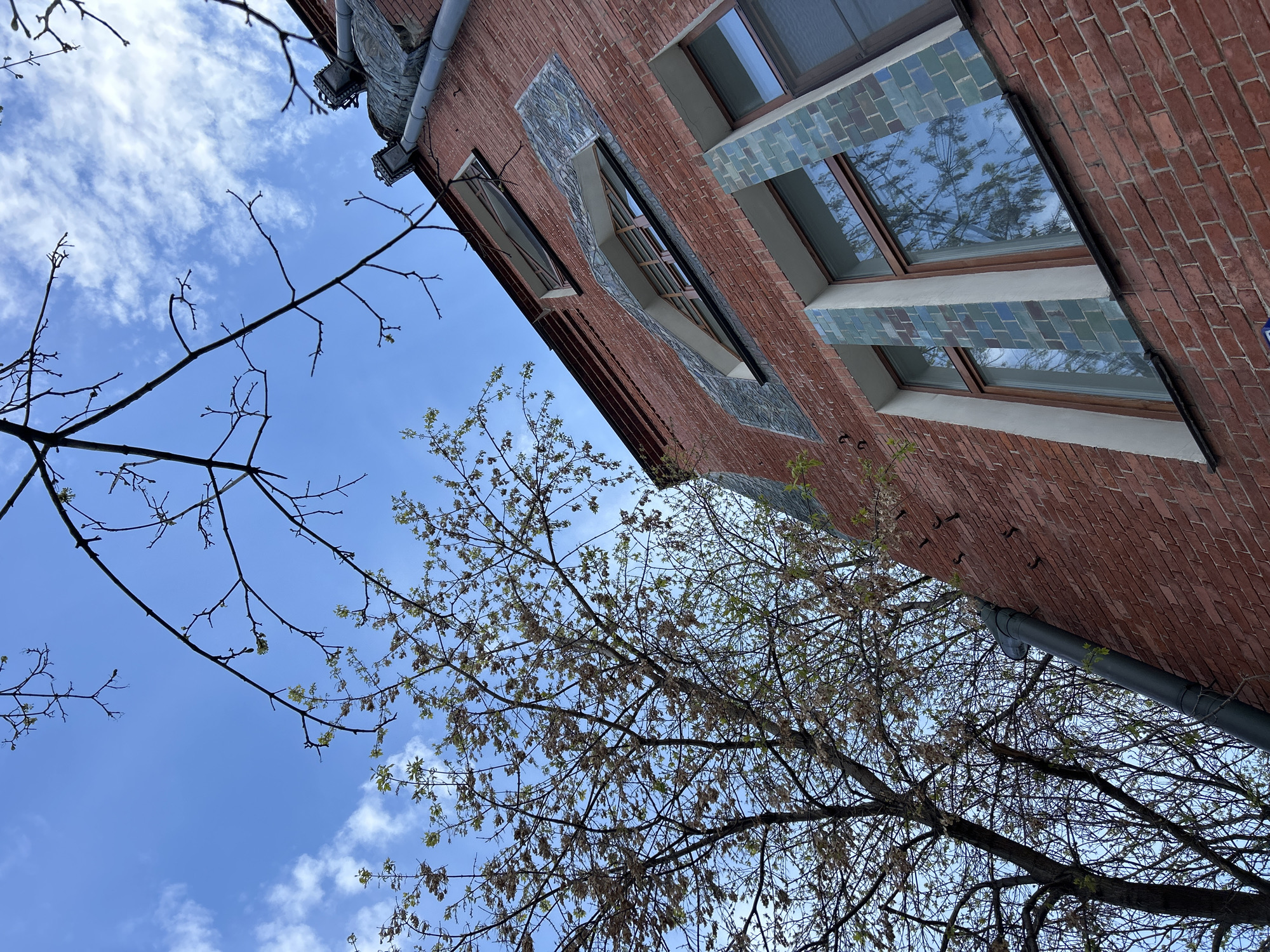 The image is a low-angle shot looking up at a brick building set against a blue sky with scattered clouds. The building features decorative window surrounds with tile detailing. Two bare tree branches are visible in the foreground, framing the building. A dark-colored downspout runs along the side of the building. The location is Unknown, Unknown.