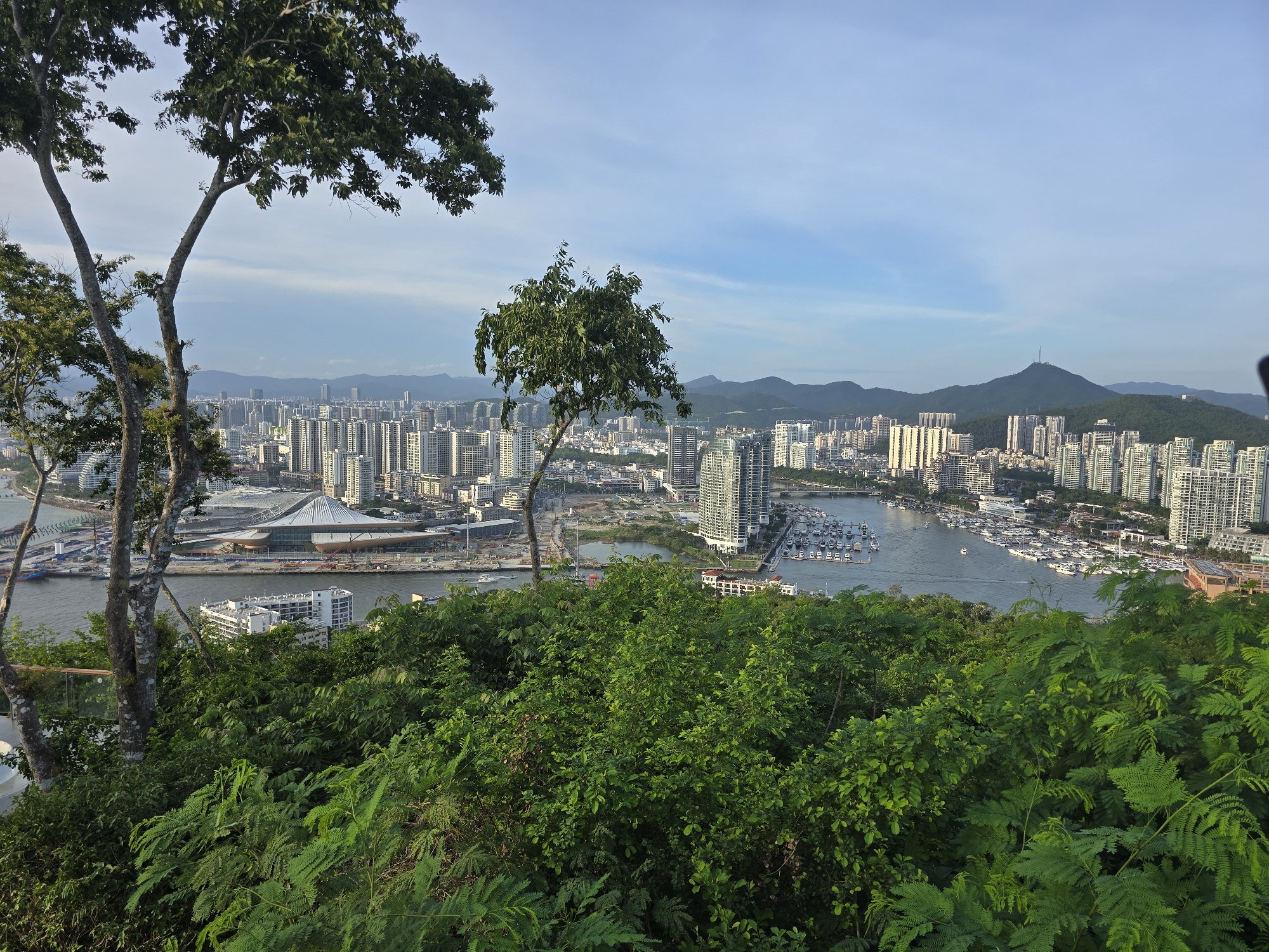 This is an elevated, wide-angle photograph taken from a vantage point overlooking a coastal city. In the foreground, lush green foliage and the trunks of two trees dominate the lower left and center portions of the image. Beyond the foliage, a body of water, likely a bay or river, is visible, with numerous boats and yachts docked. A large, modern building with a distinctive conical roof is situated on the waterfront. Further into the background, a dense cityscape of tall, white apartment buildings and other urban structures stretches towards a range of hazy blue mountains. A single antenna-like structure stands atop the tallest mountain in the distance. The sky is a pale blue with scattered wispy clouds. The lighting suggests it is either early morning or late afternoon. The location is identified as Jiyang District, China.