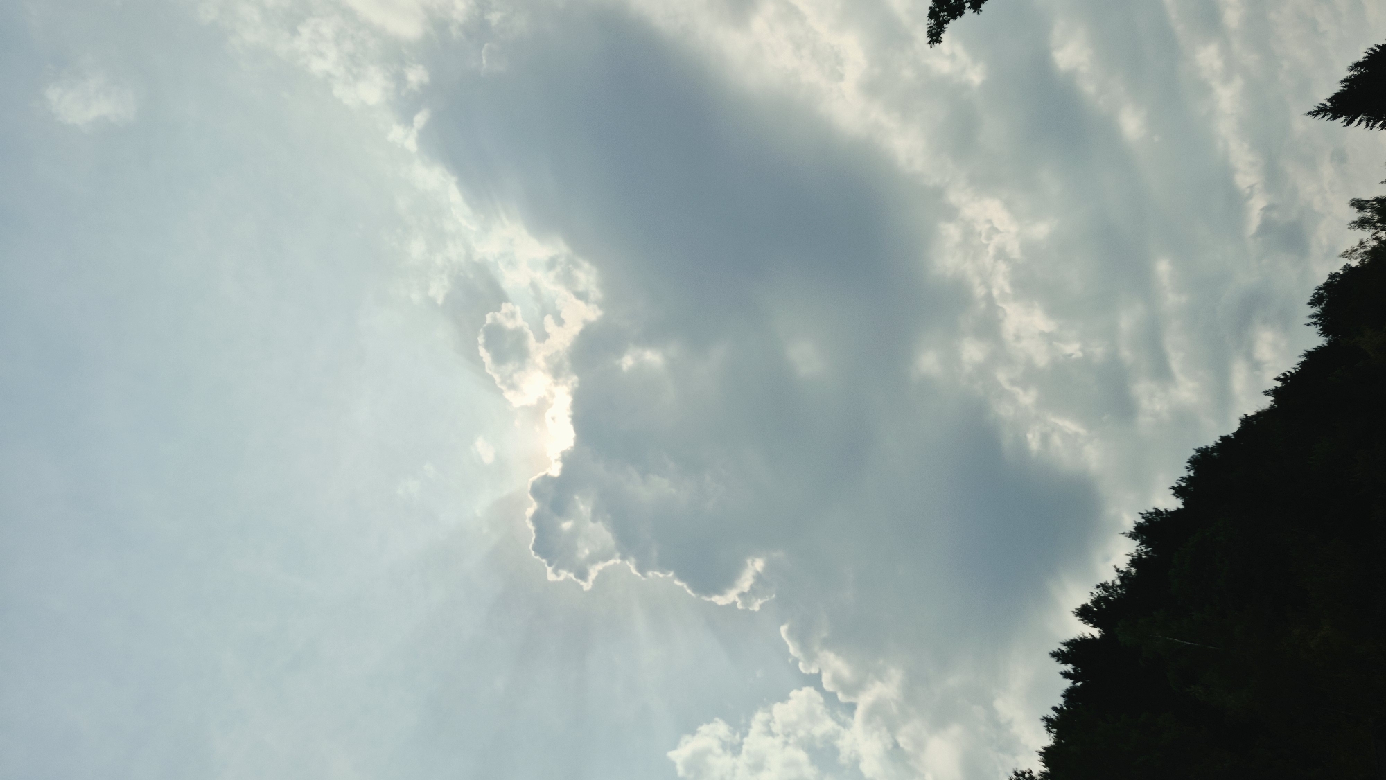 The image depicts a silhouetted forest line against a cloudy sky. The sun is partially obscured by clouds, creating a dramatic halo effect with rays of light emanating outwards. The forest is dense with evergreen trees, forming a dark, undulating horizon. The sky is a pale blue with varying shades of grey in the clouds, suggesting a partly cloudy or overcast day. There are no people or buildings visible in the frame. The scene is a natural landscape, possibly a forest on a hillside. The image does not provide any specific visual cues to pinpoint its exact location within the city of Forbach, Germany, but it represents a common type of scenery found in forested hilly regions.