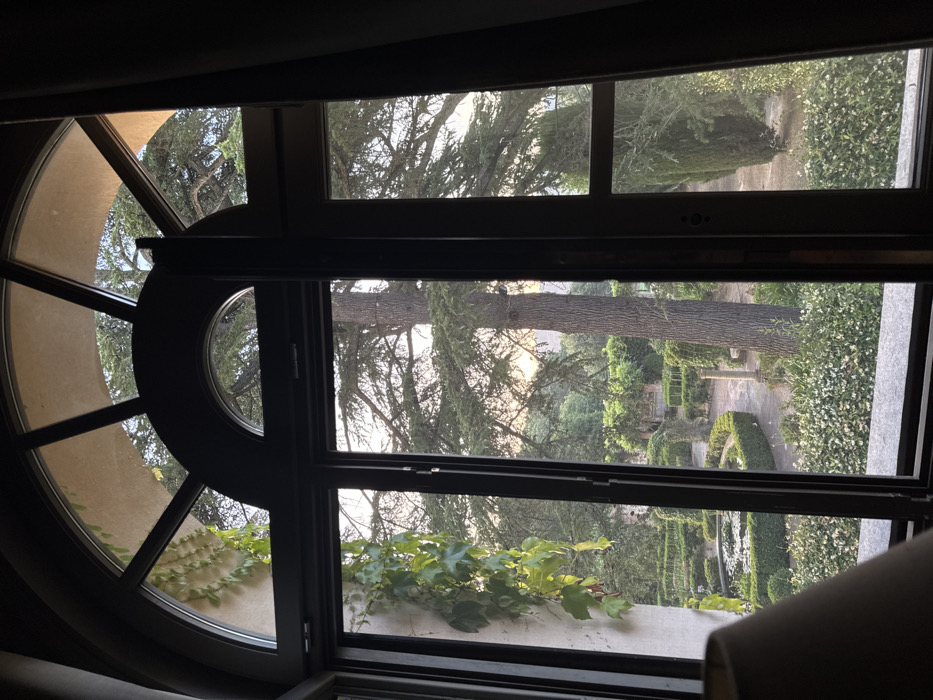 An intricate window frames a verdant scene. The window, with its distinctive rounded and paneled design, showcases a meticulously manicured garden. Formal hedges define pathways and structures. The window's sill supports thriving green vines that add a natural element to the architecture. Outside, towering trees provide a backdrop to the structured landscape.