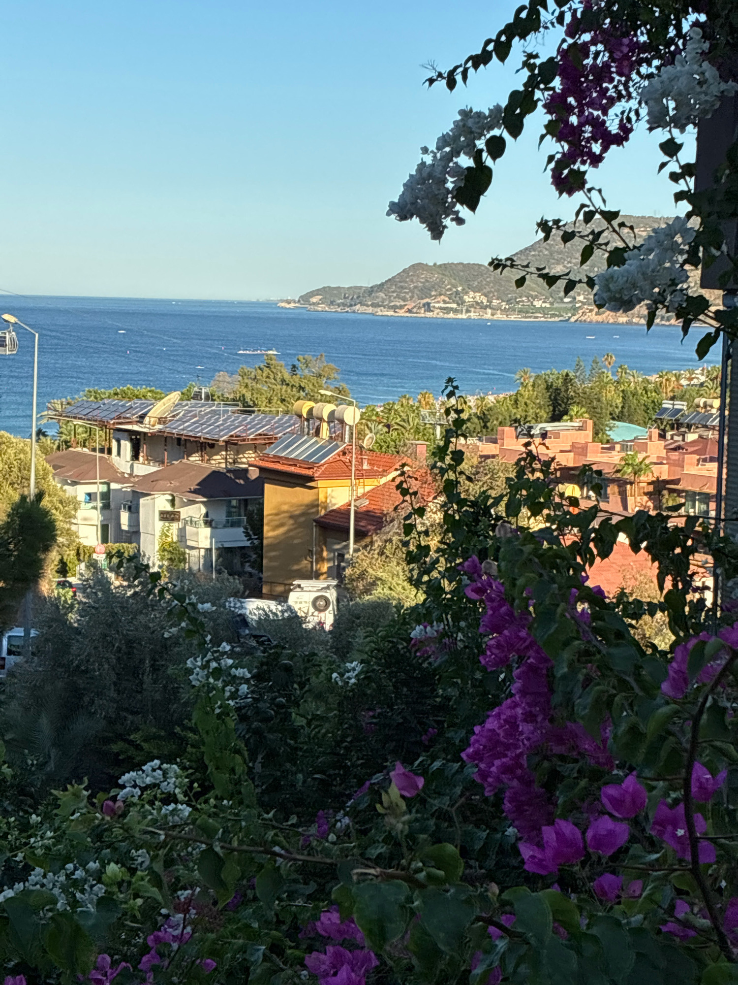 An elevated, eye-level, outdoor, vertical, medium shot captures a coastal town bathed in natural sunlight under a clear blue sky. In the foreground, lush green foliage with blooming purple and white flowers frames the scene, suggesting a vibrant garden or natural landscape. Beyond the foliage, a cluster of buildings with red and brown tile roofs is visible, some equipped with solar panels and water heaters, indicating a residential or commercial area. Further in the distance, the deep blue sea stretches towards the horizon, dotted with a few small boats. The coastline is lined with more buildings and lush greenery, leading to a mountainous landscape in the far background. The scene is serene and appears to be a typical view of a Mediterranean coastal town, possibly in Alanya, Turkey, given the architectural style and the presence of solar energy installations. No people are visible in the frame.