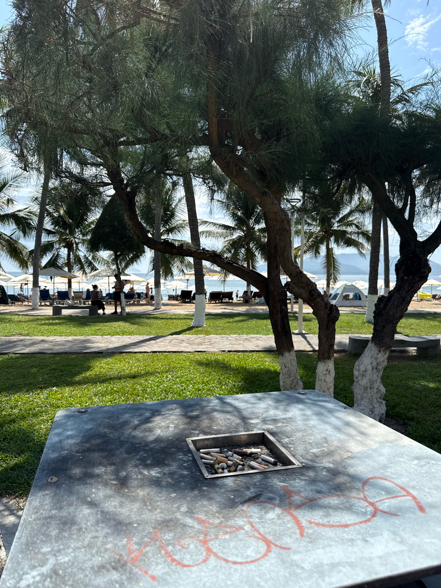 The image shows a close-up of a metallic tabletop with an ashtray filled with cigarette butts in the foreground. Red graffiti is present on the tabletop. In the background, a grassy area is visible, with palm trees and other foliage. Beyond the trees, a beach scene unfolds with lounge chairs, umbrellas, and people relaxing. The sea and a distant landmass are also visible. The scene appears to be at a beach resort in Nha Trang, Vietnam, given the presence of palm trees and beach amenities. The lighting suggests it is daytime, likely late morning or early afternoon, due to the shadows.