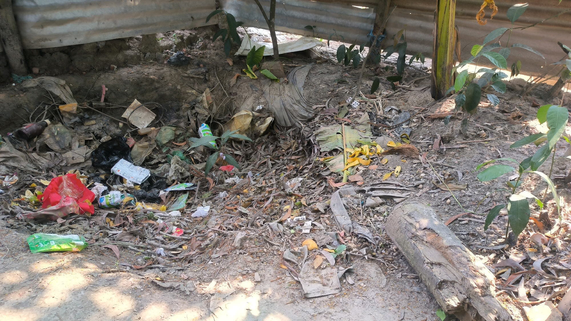 The image depicts an outdoor scene characterized by a significant accumulation of garbage and debris. The environment appears to be a neglected area, possibly a backyard or a roadside verge, with loose soil, dried leaves, and fallen branches scattered across the ground. Prominently featured are various types of waste, including plastic bags, bottles, food wrappers, and what appears to be discarded packaging. A red plastic bag is visible, alongside black trash bags, and some white and green wrappers. There are also pieces of decaying organic matter, such as banana peels, and a section of a banana tree trunk. A large piece of weathered wood, resembling a log, lies on the ground. Several small plants and saplings are growing amongst the refuse, suggesting an attempt by nature to reclaim the area. The background consists of a rough, muddy embankment and some corrugated metal sheeting, possibly part of a makeshift shelter or barrier. The overall impression is one of disarray and environmental neglect.