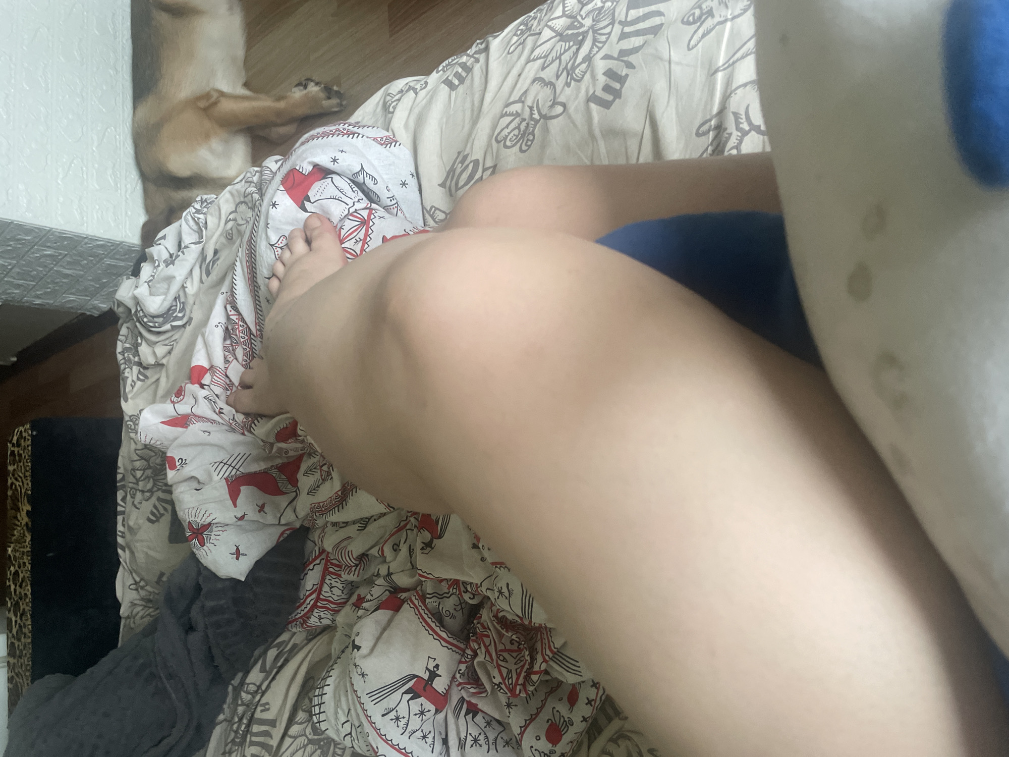In the original image, the focus is on a person's legs, which are positioned on top of a patterned duvet. The duvet features a repetitive design of figures in red and black. The person's left foot is visible, and they appear to be lying down.
In the background, a dog is lying on the floor, facing away from the camera, its head and paws visible. The dog has brown and black fur. The floor appears to be made of wood. To the left of the dog, there's a wall with a textured surface.
The lighting suggests it could be daytime, but the exact time is not discernible. The scene appears to be indoors, likely a bedroom, given the presence of the duvet and the relaxed posture of both the person and the dog. There is no visible text in the image. The overall impression is one of a casual, domestic setting.