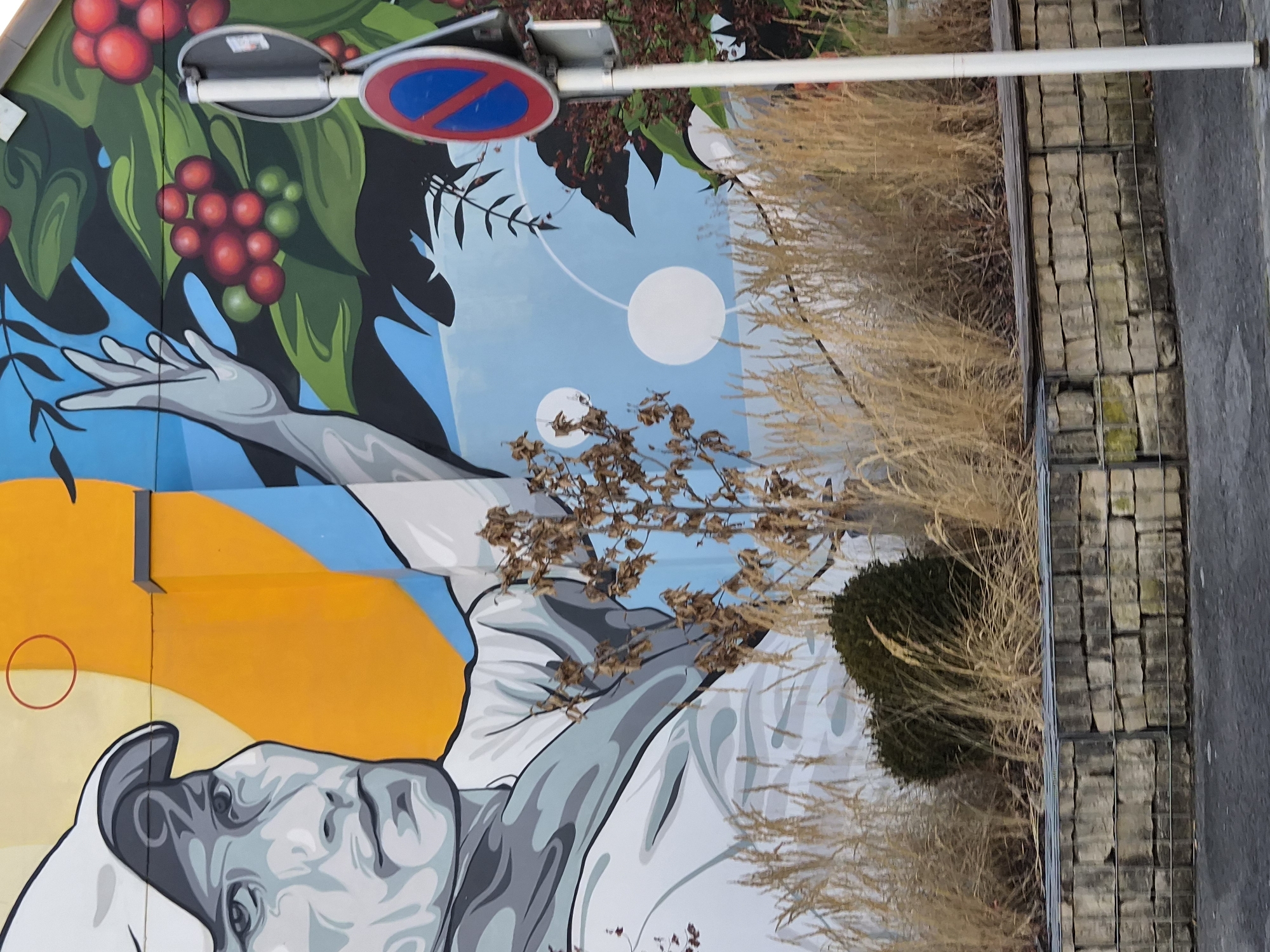 The image captures a section of a vibrant mural on the side of a building, depicting a stylized human face with a white cap and a pale complexion, rendered in grayscale with black outlines. The face is positioned to the left, looking slightly upwards and to the right. Behind the face, the mural transitions to bold colors, featuring a large, bright orange semi-circle and swathes of light blue, representing the sky or abstract elements. To the right of the face, the mural continues with green foliage and clusters of red and green berries, suggestive of coffee cherries. A pale, disembodied hand with elongated fingers is raised towards the foliage on the right side of the mural. A gray pole with a traffic sign is visible in the foreground on the right, featuring a red circle with a blue interior and a red diagonal line, indicating a prohibition, likely no parking. Below the mural, a gabion wall constructed from large, rough-hewn stones is visible, filled with dry, tall grasses and a small, dark green bush. The ground in front of the wall appears to be asphalt. The image was taken in Differdange, Luxembourg, at the intersection of Avenue de la Liberté and Rue Emile Zola, a location known for this colorful street art. The perspective suggests the photo was taken from street level, looking slightly upwards at the mural and foreground elements.