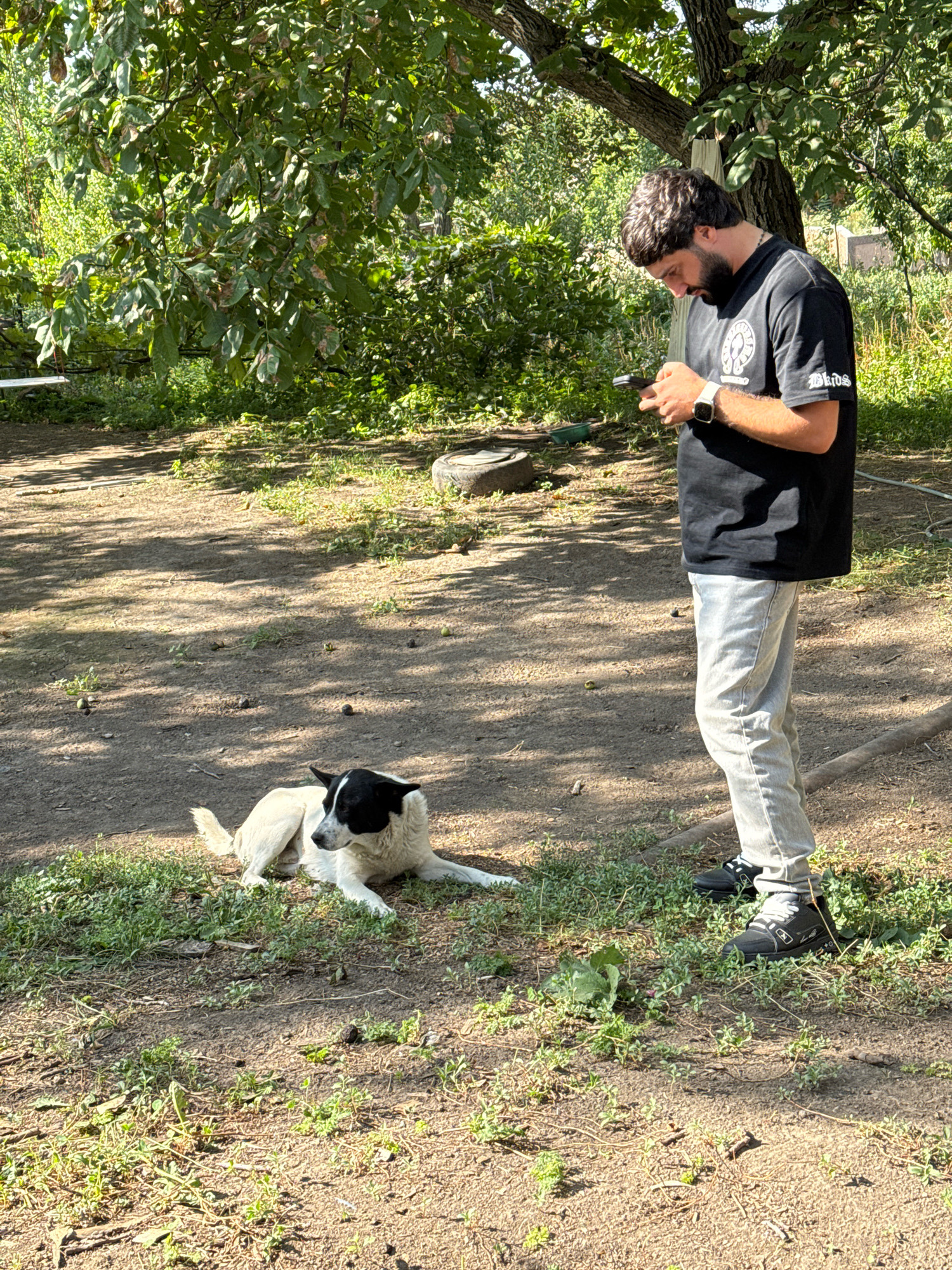 In the Avan district of Yerevan, Armenia, a young man with dark curly hair and a beard stands outdoors, looking down at his smartphone. He is wearing a black t-shirt with a circular emblem and light-colored jeans. To his left and slightly in front, a black and white dog lies on the ground, facing to the right. The setting appears to be a yard or open area with a dirt ground, scattered green vegetation, and trees providing dappled shade. In the background, more foliage and what seems to be a tire are visible.
