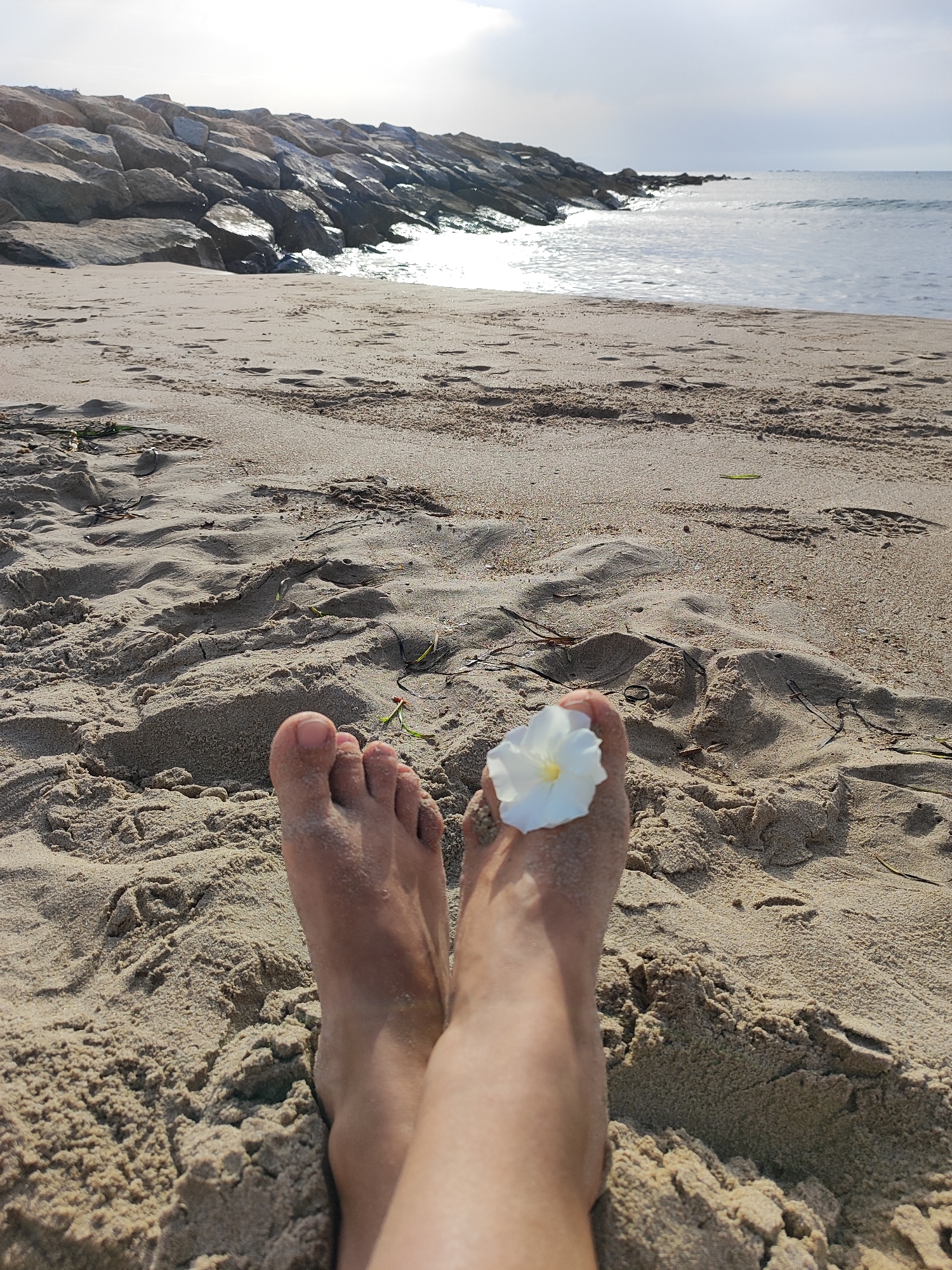 The image depicts a first-person perspective of feet resting on a sandy beach. The feet are partially covered in sand, and a white flower with a yellow center is placed on the big toe of the left foot. In the background, a rocky breakwater extends into the calm sea under a hazy sky. The beach appears to be in El Campello, Spain, given the presence of similar breakwaters along its coastline. The overall scene suggests a moment of relaxation and connection with nature.
