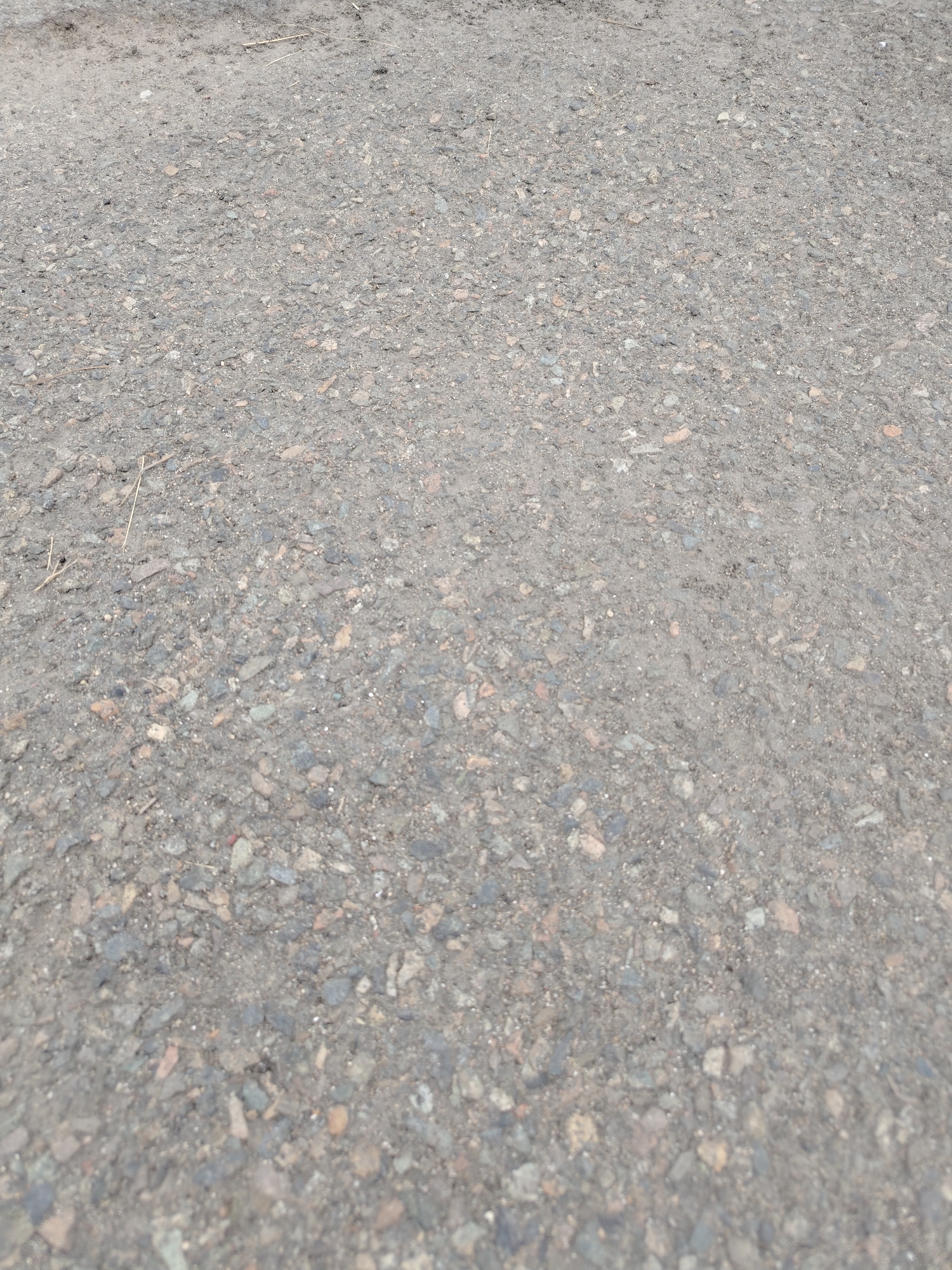A close-up, eye-level shot depicts a rough asphalt surface, likely a road or path, in Stepnoe, Russia. The texture is uneven, composed of small grey and brown stones embedded in a dark grey binder. A few dry grass stalks are visible, scattered across the surface, suggesting an outdoor, possibly unkempt area. The lighting is diffused, indicating an overcast day or shade. There are no people or animals present, and no discernable objects beyond the natural composition of the asphalt and vegetation.