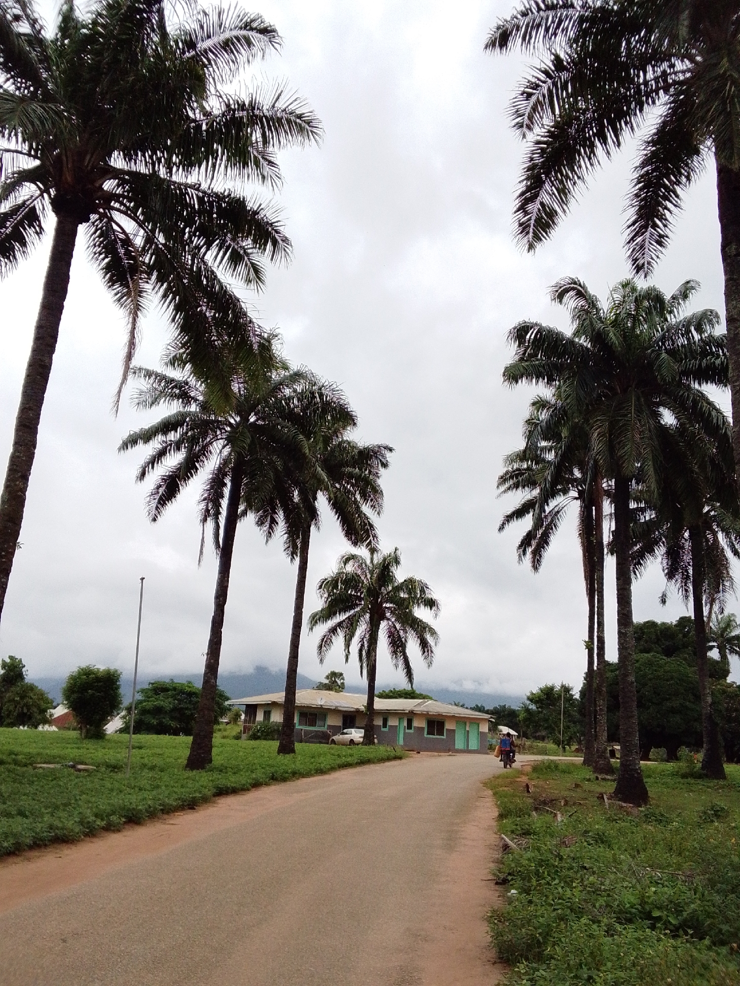The image depicts a road leading towards a building, flanked by numerous palm trees. The sky is overcast with heavy clouds. On the left side of the road, there is a patch of green grass. The building, partially visible on the right side of the road, is light-colored with green trim around the windows and doors. A white car is parked in front of the building. Further down the road, a person is riding a motorcycle, moving away from the viewer. The overall environment appears to be a rural or semi-rural setting, possibly in the city of Serti, Nigeria, given the presence of palm trees and the architectural style of the building.