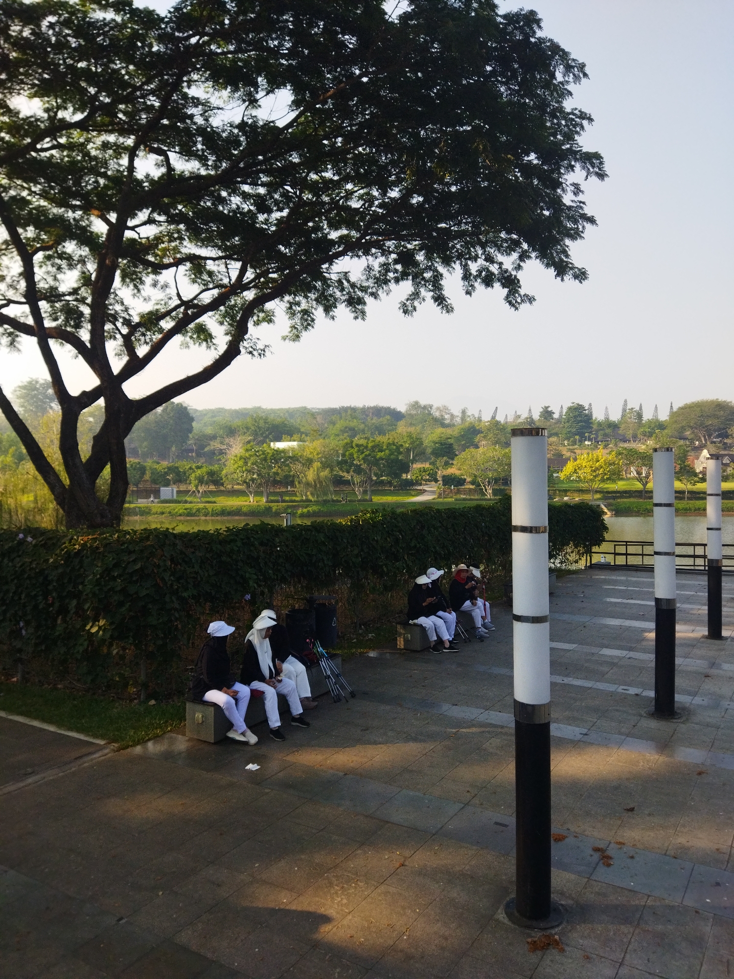 The image depicts a park area with a body of water in the background, likely a lake or a river. In the foreground, several people are seated on a bench, all dressed in white pants and white or light-colored headwear, suggesting they might be part of a group or team. Some are looking at their phones, while others appear to be resting. Adjacent to the bench is a low, dense hedge.
Beyond the hedge, the park features a paved walkway with several modern-style lampposts. In the mid-ground, the body of water is visible, bordered by a railing and a walkway. The background reveals a landscape with trees, some of which are tall and leafy, creating a lush, green environment. The sky is clear and bright, indicating daytime.
Without specific landmarks visible in the image, it is impossible to definitively identify the location as Semarang, Indonesia. However, if this is indeed a park in Semarang, it would be an example of an urban green space, offering recreational opportunities to its visitors. The overall scene conveys a sense of tranquility and relaxation, characteristic of a park setting.
