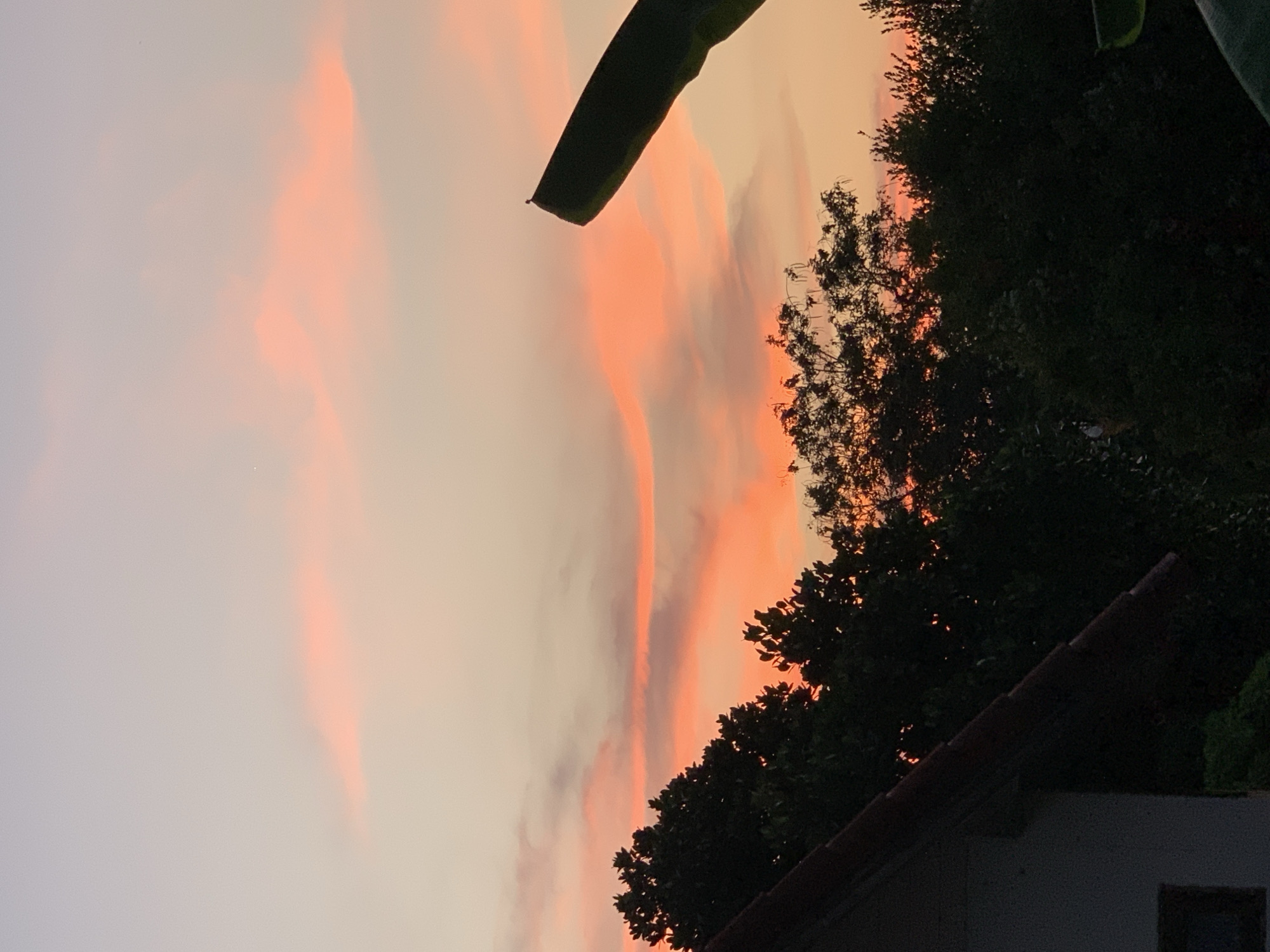 The image shows a twilight or sunset scene in บ้านบางรักษ์, Thailand. The sky is filled with soft, pastel-colored clouds of orange, pink, and gray. Silhouetted against the sky are trees, a single banana leaf, and part of a building with a visible roof. The building appears to be low and located in a residential area, as suggested by the foliage. The light conditions suggest it is either early morning or evening.