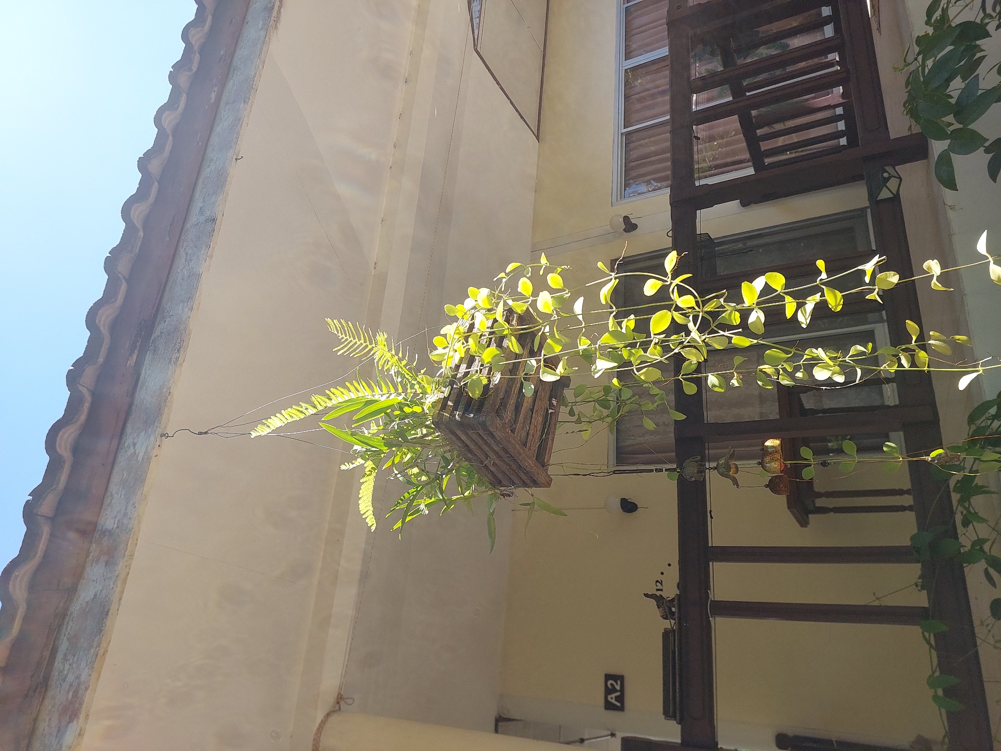 An exterior shot captures a hanging planter filled with lush green foliage, suspended from a building's overhang. The planter, constructed from wood, features a tiered design. The vibrant green leaves of various plants cascade downwards, some catching the sunlight and appearing almost translucent. Beneath the planter, a dark wooden railing runs horizontally, with vertical wooden supports. Beyond the railing, a building with windows and curtains is visible, suggesting an outdoor balcony or patio area. The overall impression is one of a tropical setting, possibly in Baan Mae Nam, Thailand, with the natural elements of plants contrasting with the man-made structure of the building. The sky above is a clear, bright blue, indicating a sunny day.