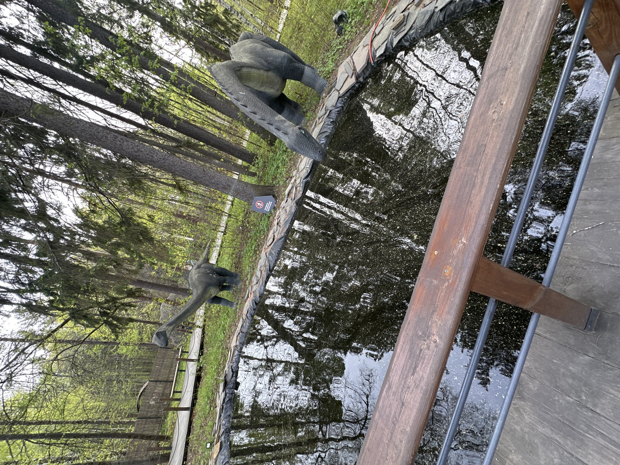 This outdoor shot, likely taken during the day, shows a pond with two dinosaur statues at its edge. The pond is dark, reflecting the surrounding trees. A wooden railing is visible in the foreground, suggesting a viewing platform. The scene is set in a forested area, with tall trees and greenery visible in the background. The sign implies this location to be in Izhevsk, Russia.