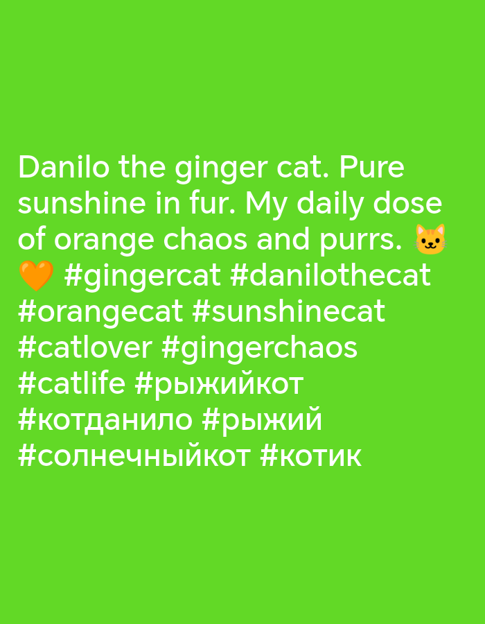 The image displays text overlaid on a solid green background. The text reads: "Danilo the ginger cat. Pure sunshine in fur. My daily dose of orange chaos and purrs. 🧡 #gingercat #danilothecat #orangecat #sunshinecat #catlover #gingerchaos #catlife #рыжийкот #котданило #рыжий #солнечныйкот #котик". There are also emojis of an orange heart and a cat's face accompanying the text. The image does not contain any information or visual cues related to Vityazevo, Russia, or any specific city.
