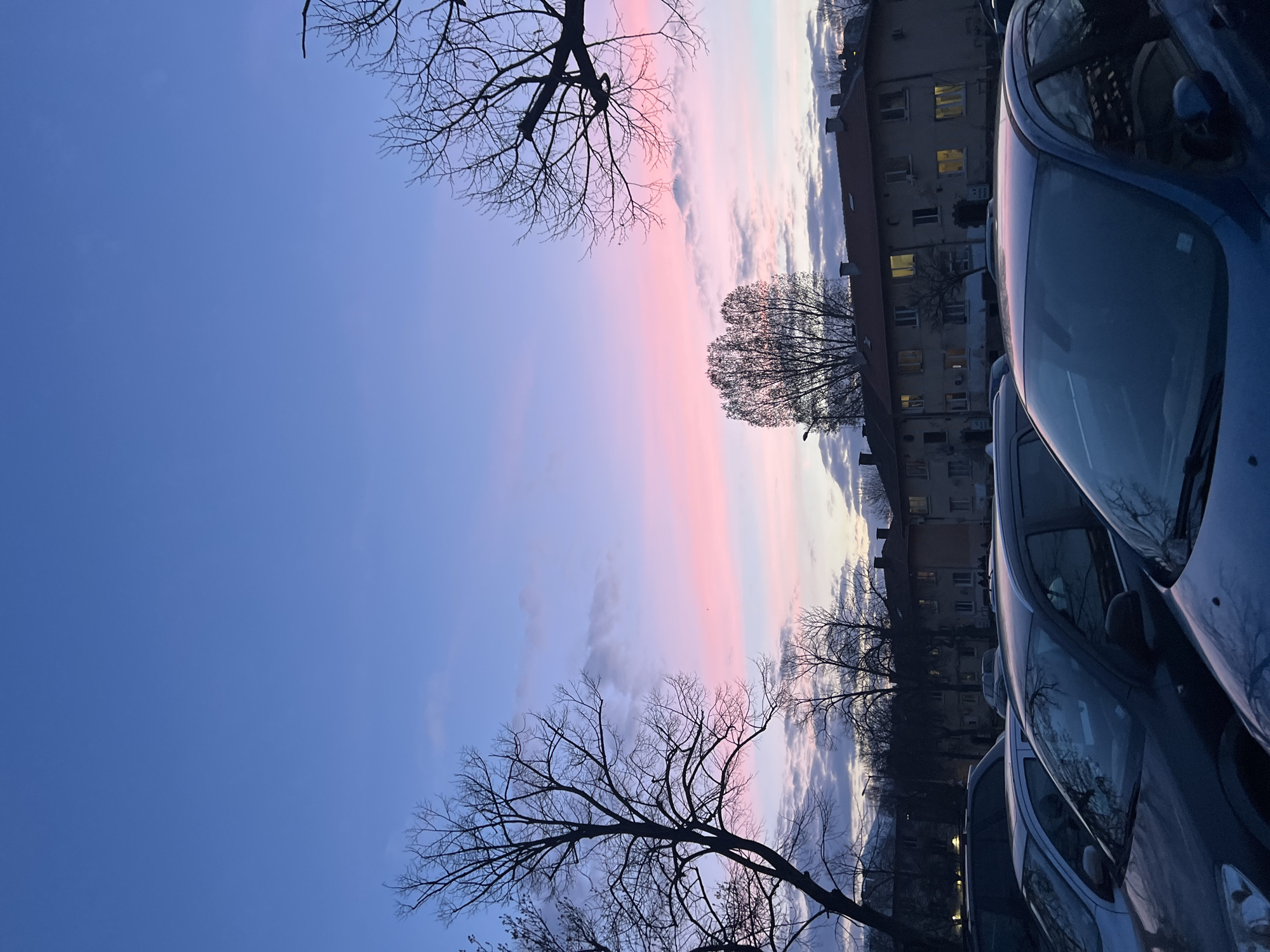 The image displays an urban residential street scene in Sofia, Bulgaria, captured during twilight. The sky dominates the upper portion, featuring a gradient from deep blue at the zenith, transitioning through light blue and lavender, to a prominent band of bright pink and orange hues along the horizon, interspersed with scattered, wispy clouds. Numerous bare deciduous trees with intricate branch networks are silhouetted against the sky on both the left and right sides of the frame, indicating a late autumn or winter season.
In the mid-ground, a line of parked passenger vehicles, primarily dark-colored (e.g., blue, silver, black), occupies a street or parking area. These vehicles are unoccupied. In the background, a row of multi-story residential buildings with sloped, reddish-brown tiled roofs is visible. Several windows in these buildings are illuminated with interior lights, suggesting occupancy. A single unlit streetlight is discernible in the distant mid-ground. No individuals are present or actively engaged within the visible scene.