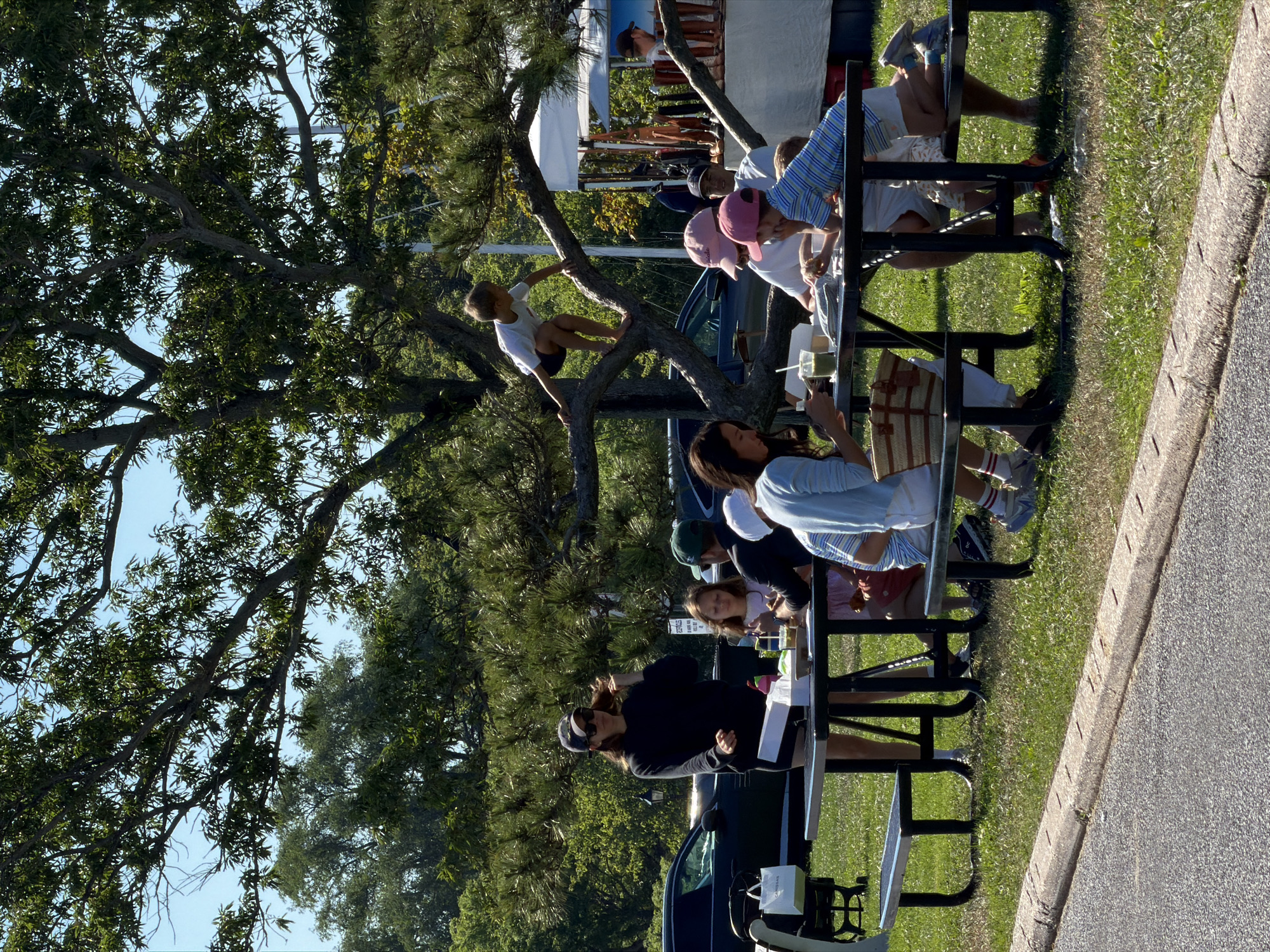 In the Village of Sag Harbor, United States of America, on a sunny day, a group of people are gathered near a tree and picnic tables. A young boy is climbing on a tree branch. Several people, including children, are seated at a picnic table, interacting with each other and eating. One woman stands near a car, holding a shopping bag. In the background, there is a tent set up, possibly for a market or event. The environment is green and grassy, with trees providing shade.