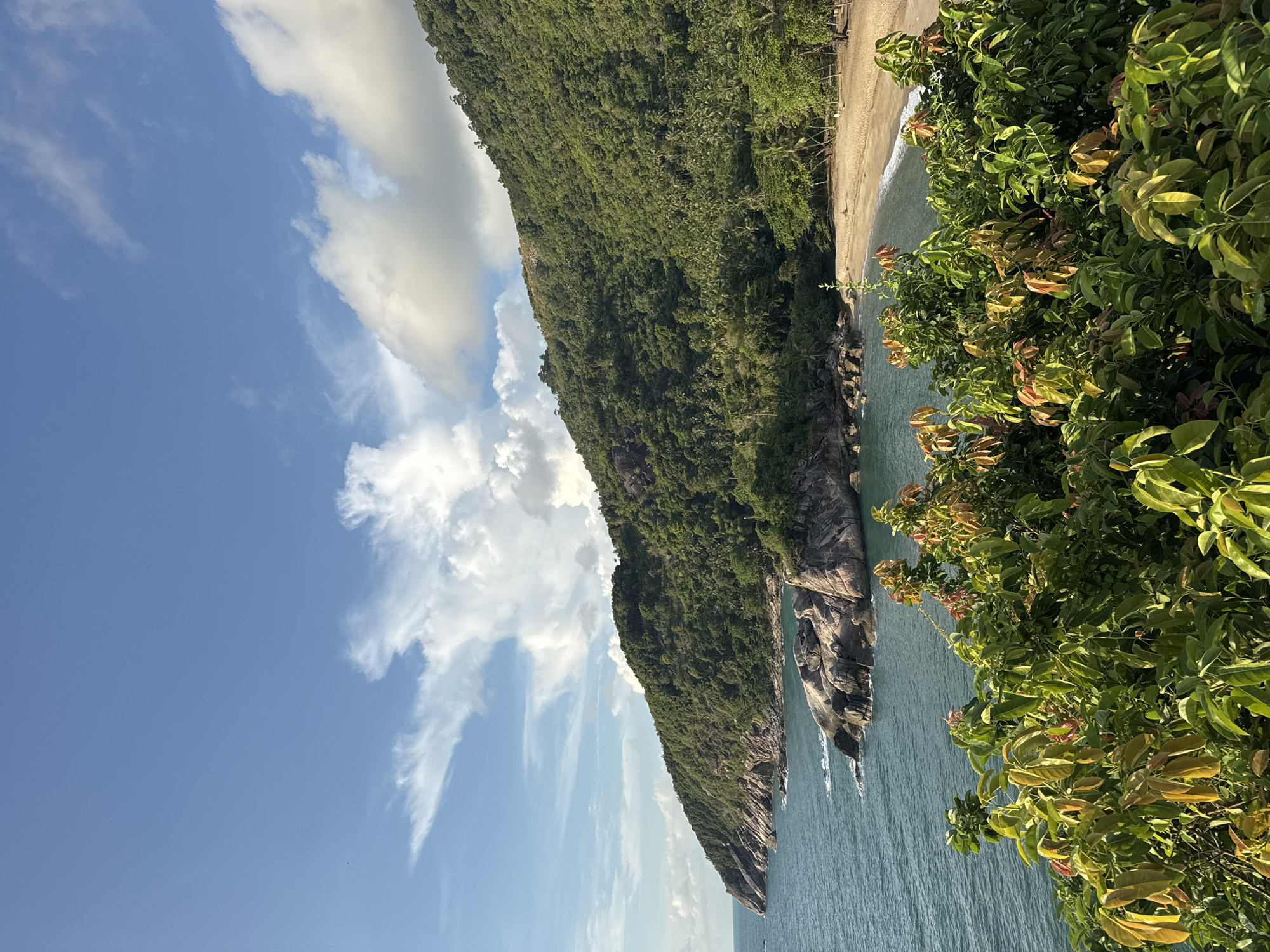 The image shows a beach and forested mountainside in Baan Thong Nang, Thailand, captured from a high vantage point. A sandy beach is visible adjacent to the turquoise water. The mountainside is covered in dense green vegetation. A clear blue sky with scattered clouds is visible in the upper-left portion of the image. In the foreground, foliage with green and reddish-brown leaves obscures a small portion of the view.