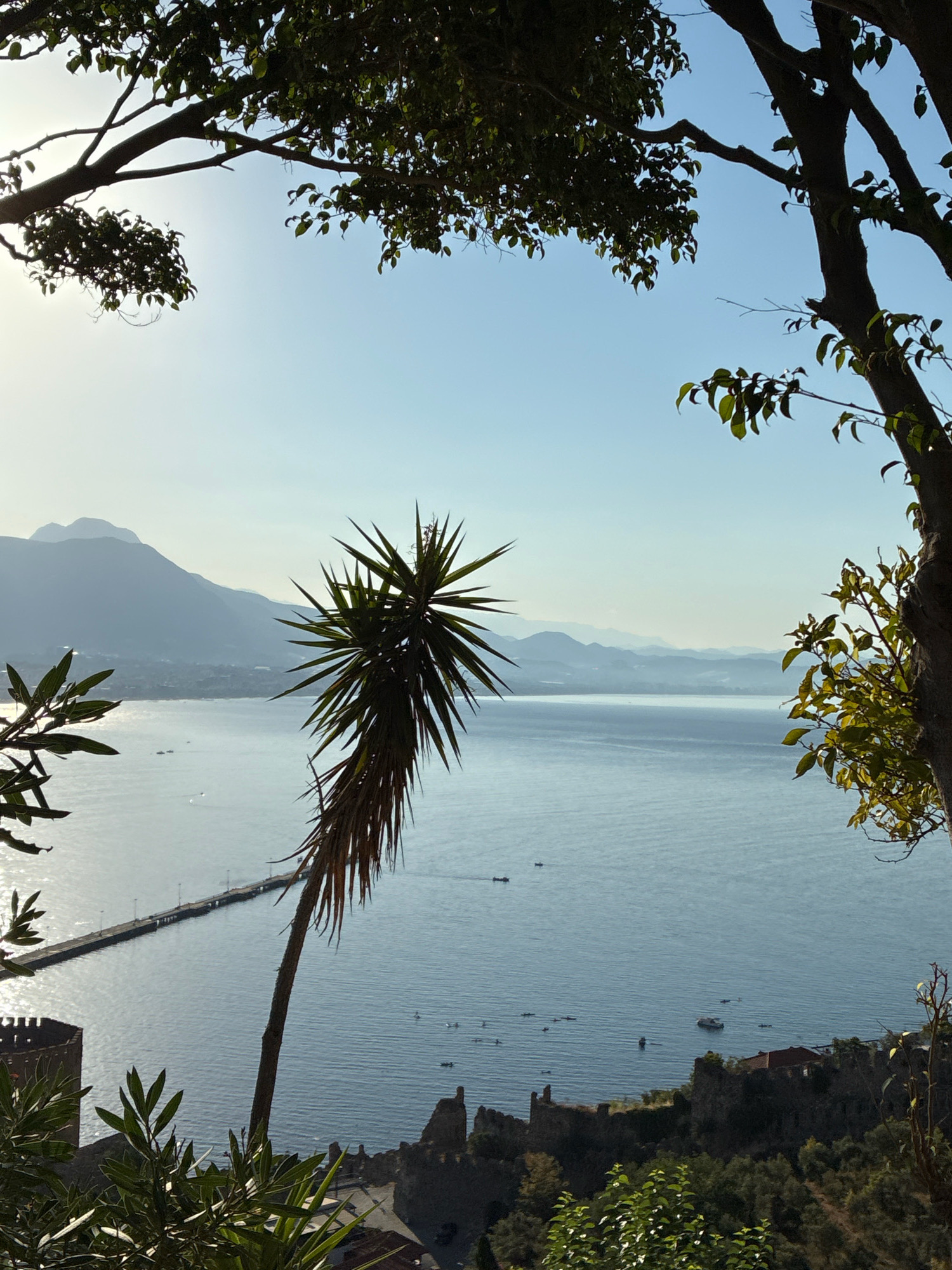 An eye-level, high-angle, full outdoor shot captures the coastal city of Alanya, Turkey. The image is dominated by a vast expanse of tranquil blue water, likely the Mediterranean Sea, stretching towards a hazy horizon. In the foreground, the silhouettes of lush green trees frame the scene, with their branches and leaves creating a natural border. A solitary, slender palm tree stands prominently in the middle ground, its spiky fronds reaching towards the sky.
Further out, a long, narrow pier extends from the coastline into the water, dotted with what appear to be streetlights or lampposts. The coastline itself is a mosaic of rocky outcrops and ancient stone structures, possibly part of Alanya Castle. A few small boats are scattered across the water, some appearing to be moored, others perhaps in motion. In the distance, a range of majestic mountains rises, their peaks softened by the atmospheric haze. The sky above is a clear, pale blue, with the sun faintly visible through the branches, casting a soft glow on the water. The overall impression is one of serene natural beauty and historical depth, characteristic of Alanya's iconic landscape.