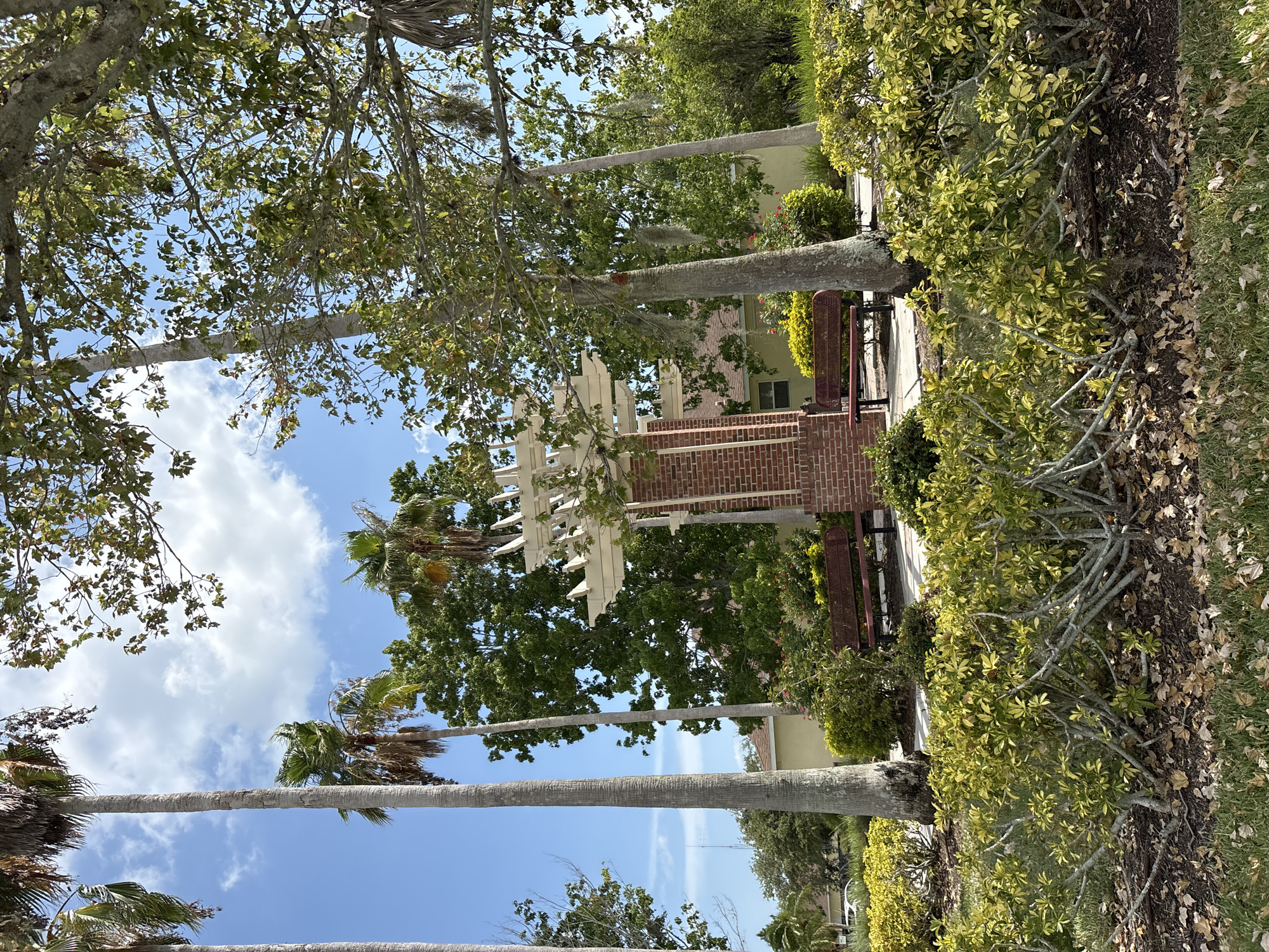 The image captures a serene outdoor scene in Parrish, United States, featuring a prominent brick and white pergola structure with benches situated beneath it. The pergola is surrounded by lush greenery, including tall palm trees and dense bushes with yellow and green foliage. A building with a light yellow facade and a brown roof is visible in the background, partially obscured by trees. The sky above is a vibrant blue with scattered white clouds, suggesting a bright, sunny day. The ground is covered with grass and fallen leaves, adding to the natural ambiance. There are no people or animals present in the image. The overall impression is one of a well-maintained park or community gathering space, offering a tranquil spot for relaxation.
